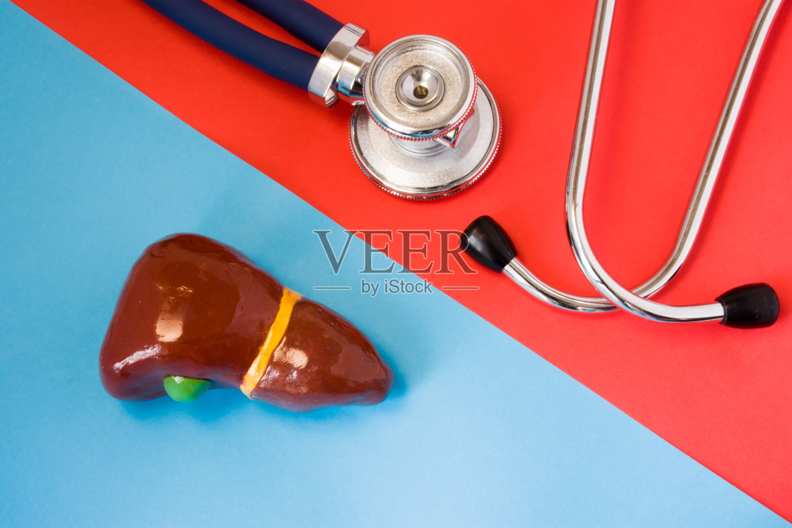 消化内分泌器官-肝胆疾病诊断检测设计理念。红、蓝背景听诊器与肝、胆囊模型相对照片摄影图片