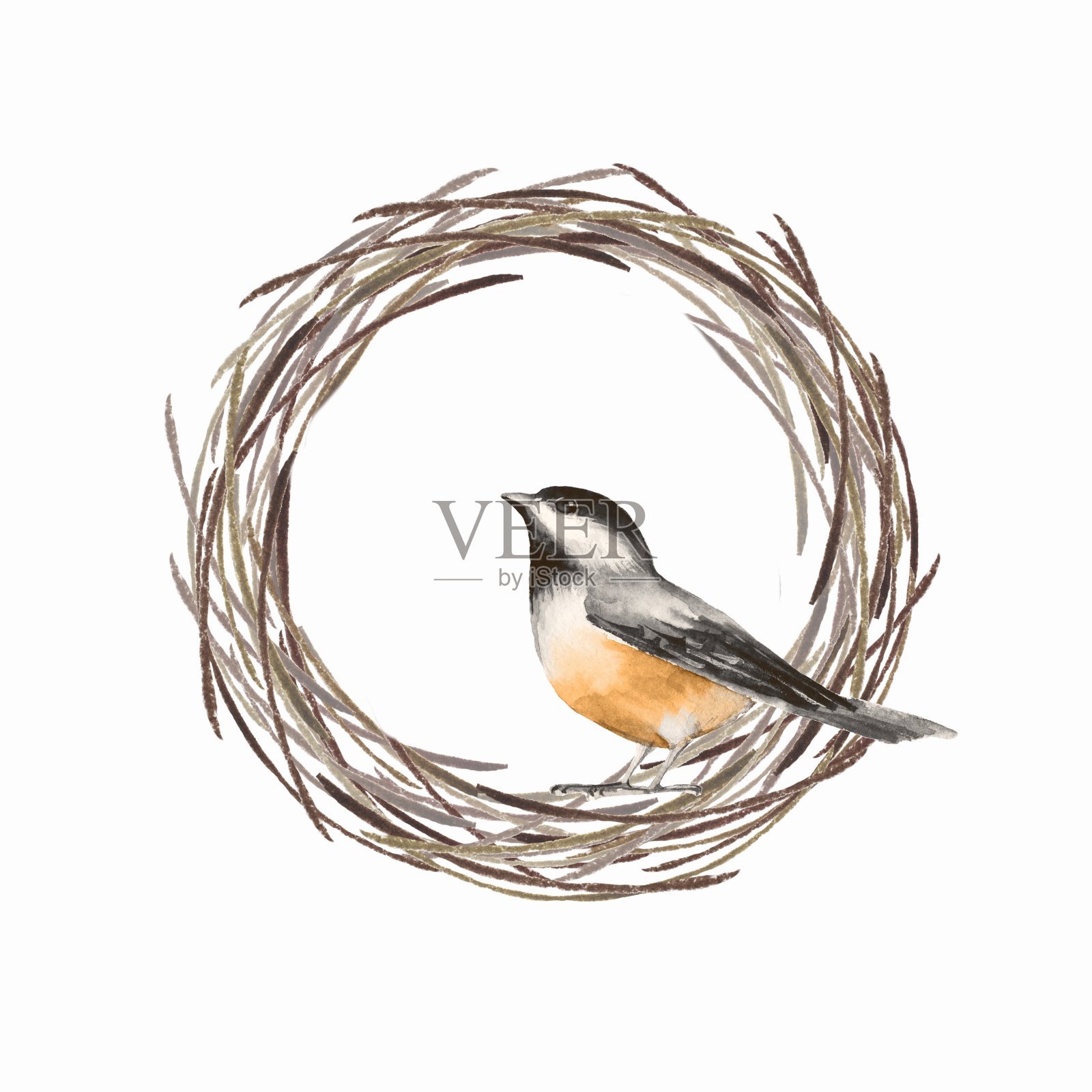 鸟和巢插画图片素材