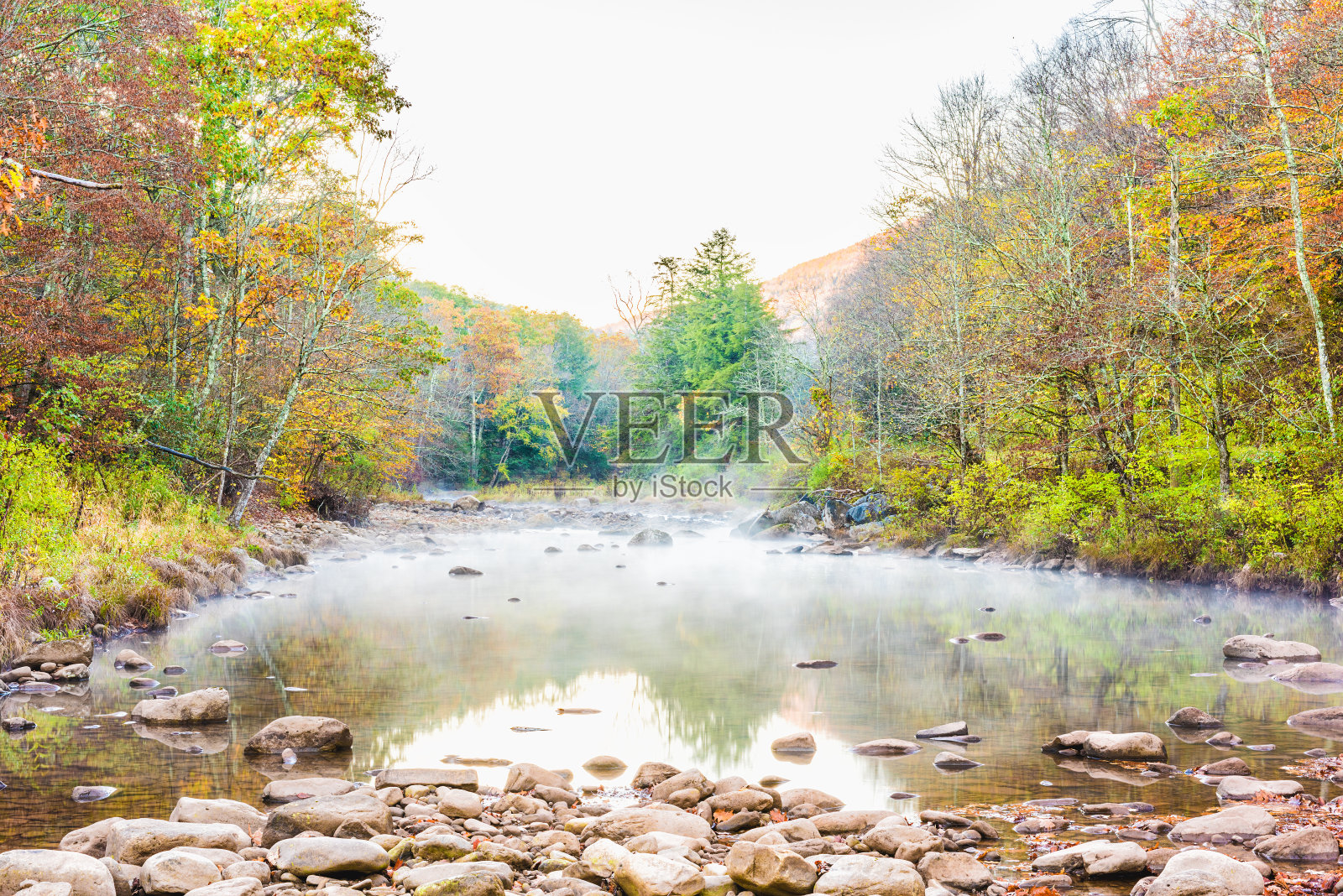 早晨河茶溪景观与薄雾，秋天的雾和落叶林，石头或岩石在浅水在西弗吉尼亚州日出照片摄影图片