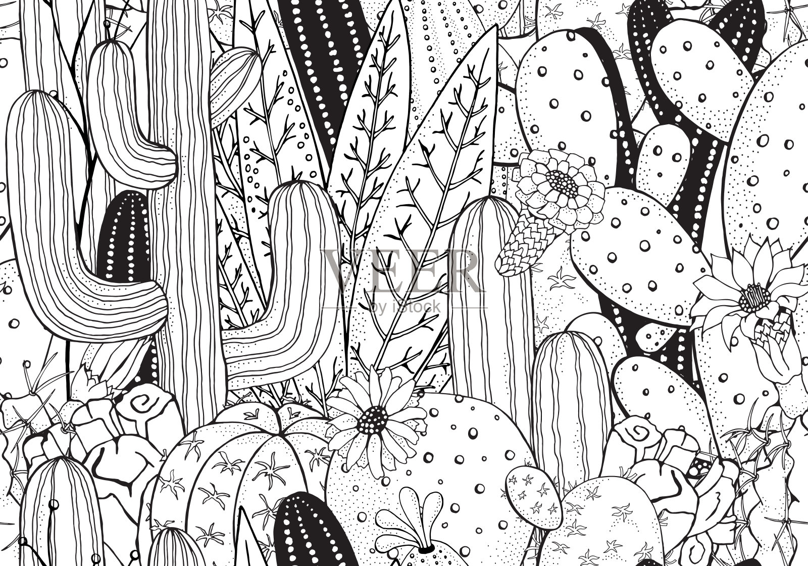 黑白相间的仙人掌图案涂鸦。刺梨，龙舌兰，撒瓜罗，仙人掌花。插画图片素材