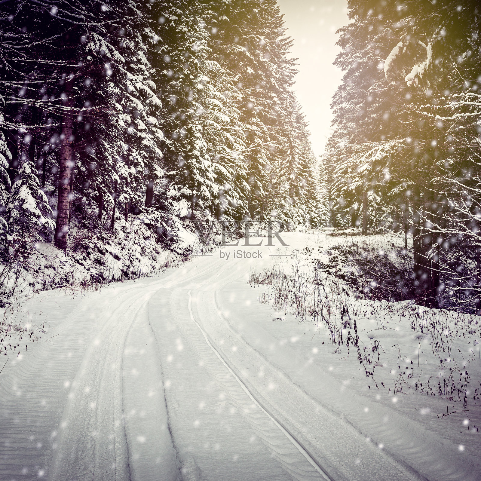 冬天的森林路照片摄影图片