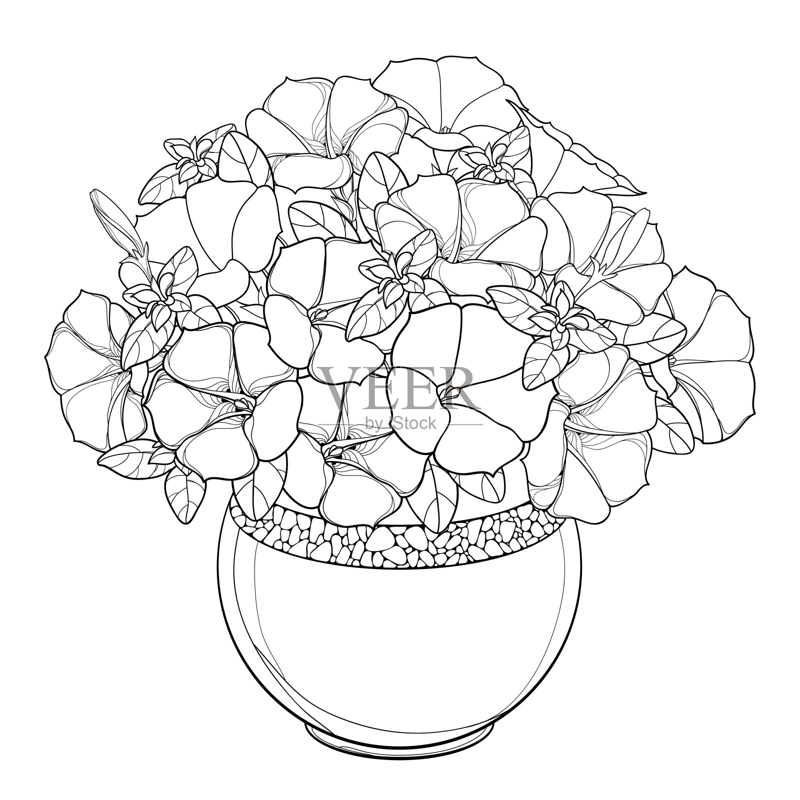 矢量花束与轮廓矮牵牛花，叶和芽在华丽的圆形花盆在黑色孤立在白色背景。插画图片素材