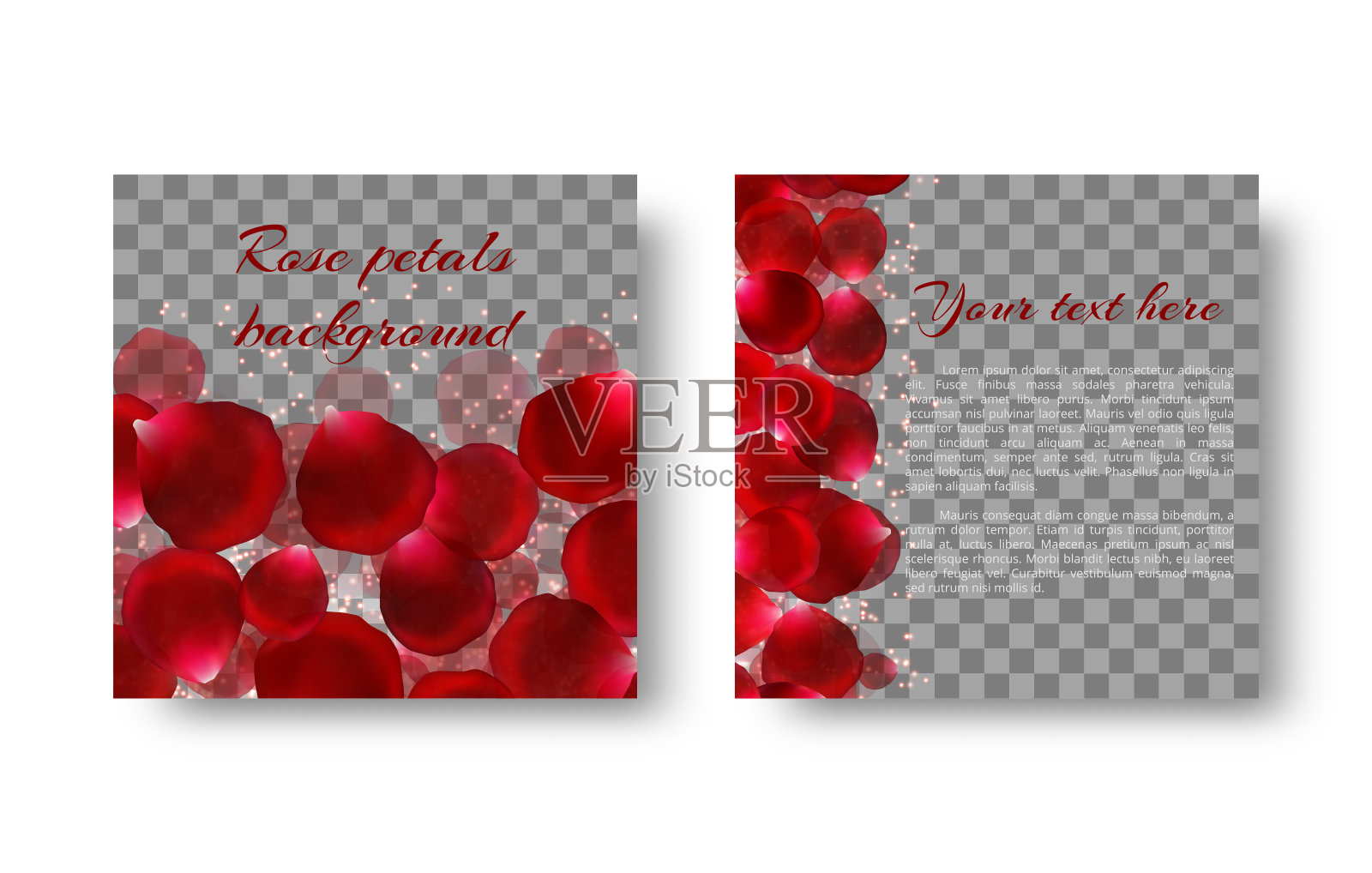 模板贺卡与红玫瑰花瓣设计模板素材