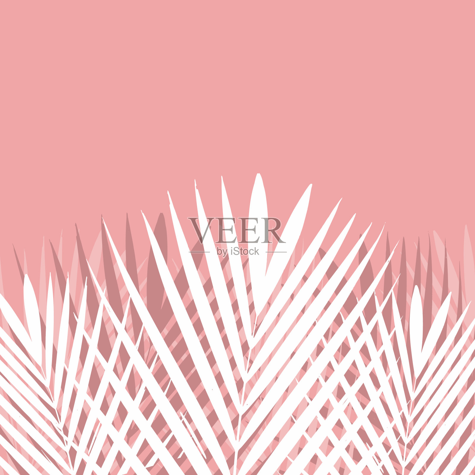 粉红色背景上的热带棕榈叶。插画图片素材
