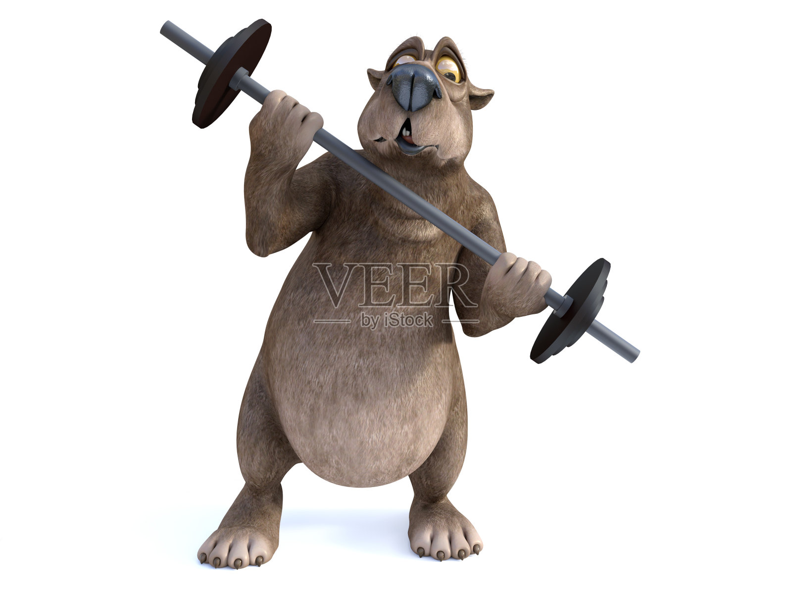 3D渲染的卡通熊锻炼与杠铃。照片摄影图片