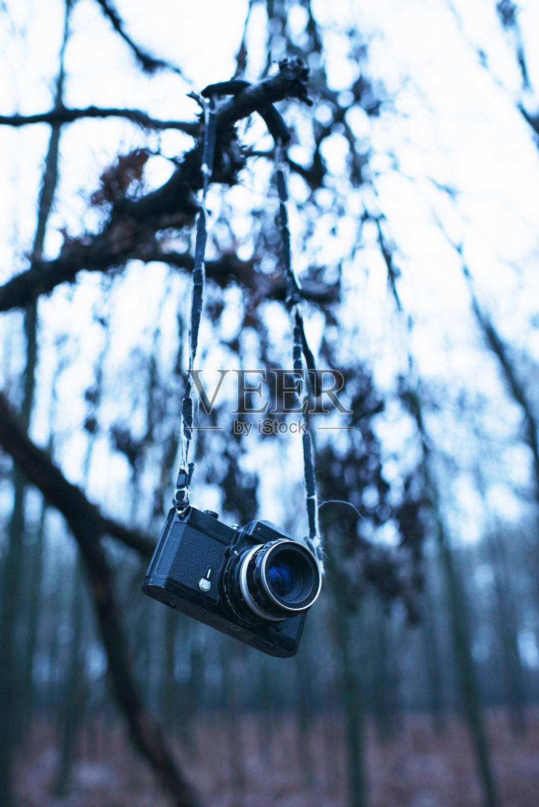 丢失的古董相机挂在冬季森林的树上。照片摄影图片