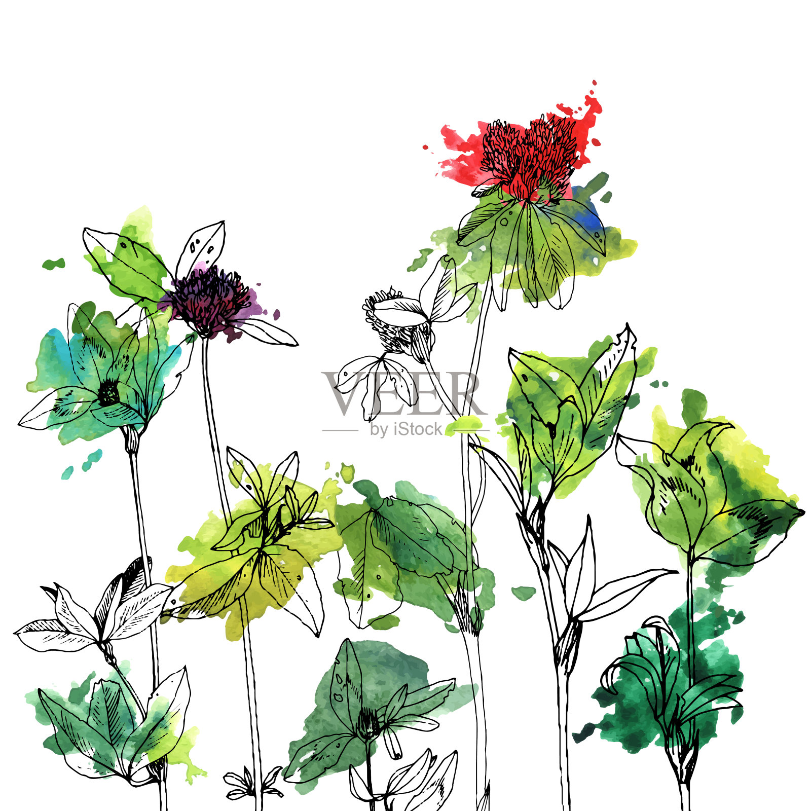 背景与绘制草本和花卉设计元素图片