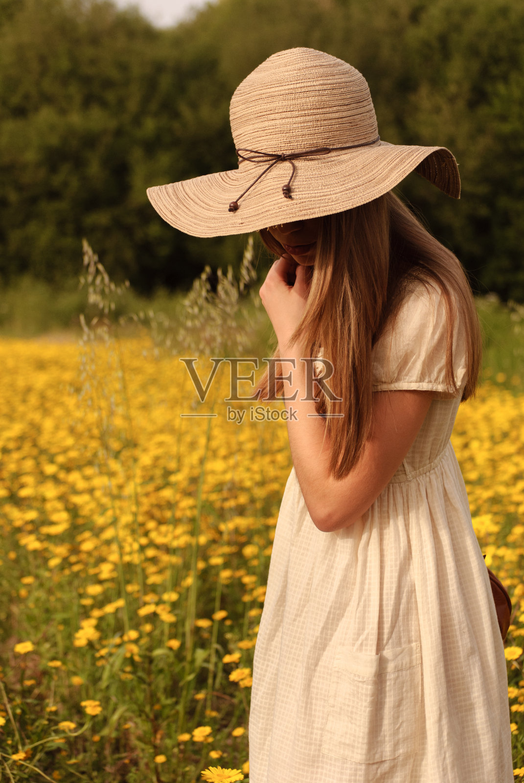 年轻女子俯视着盛开的雏菊照片摄影图片
