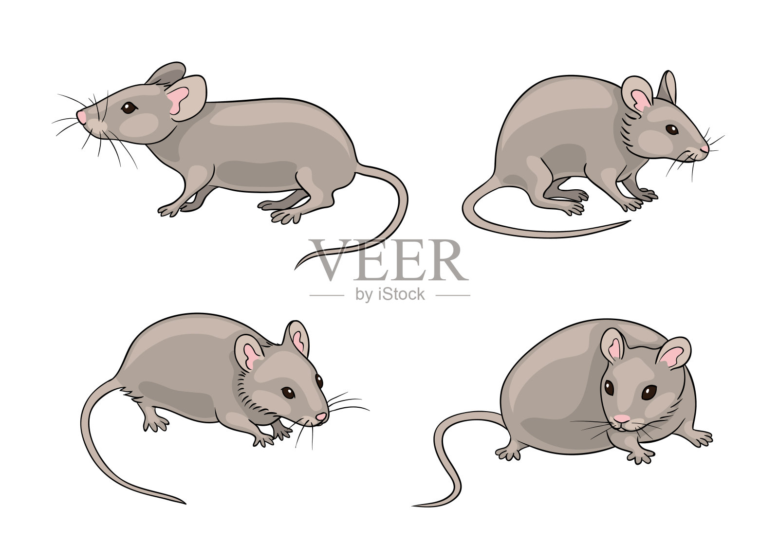 灰老鼠在不同的姿态-矢量插图设计元素图片