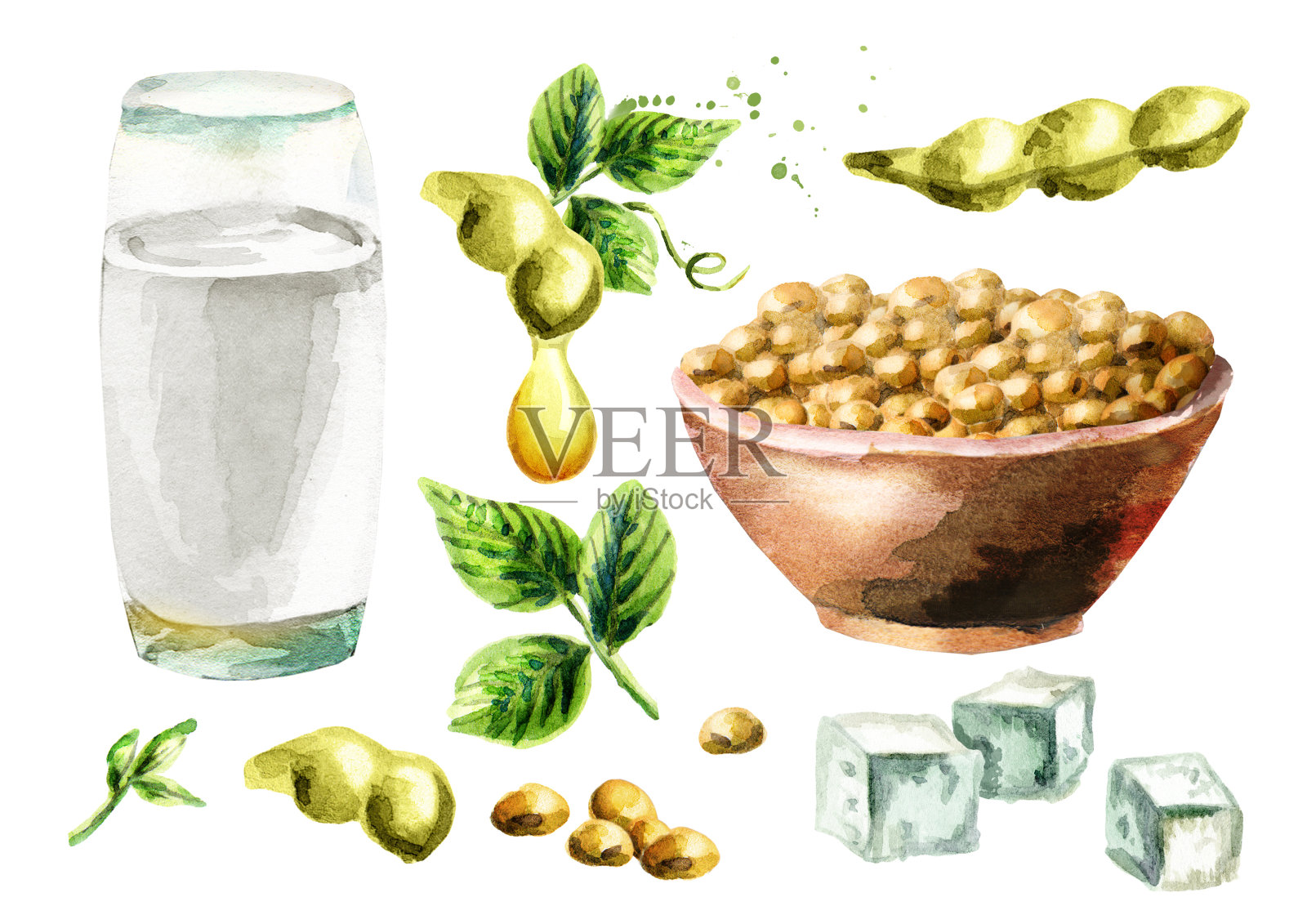 豆制品集大豆，牛奶，豆腐和油。水彩手绘插图。插画图片素材