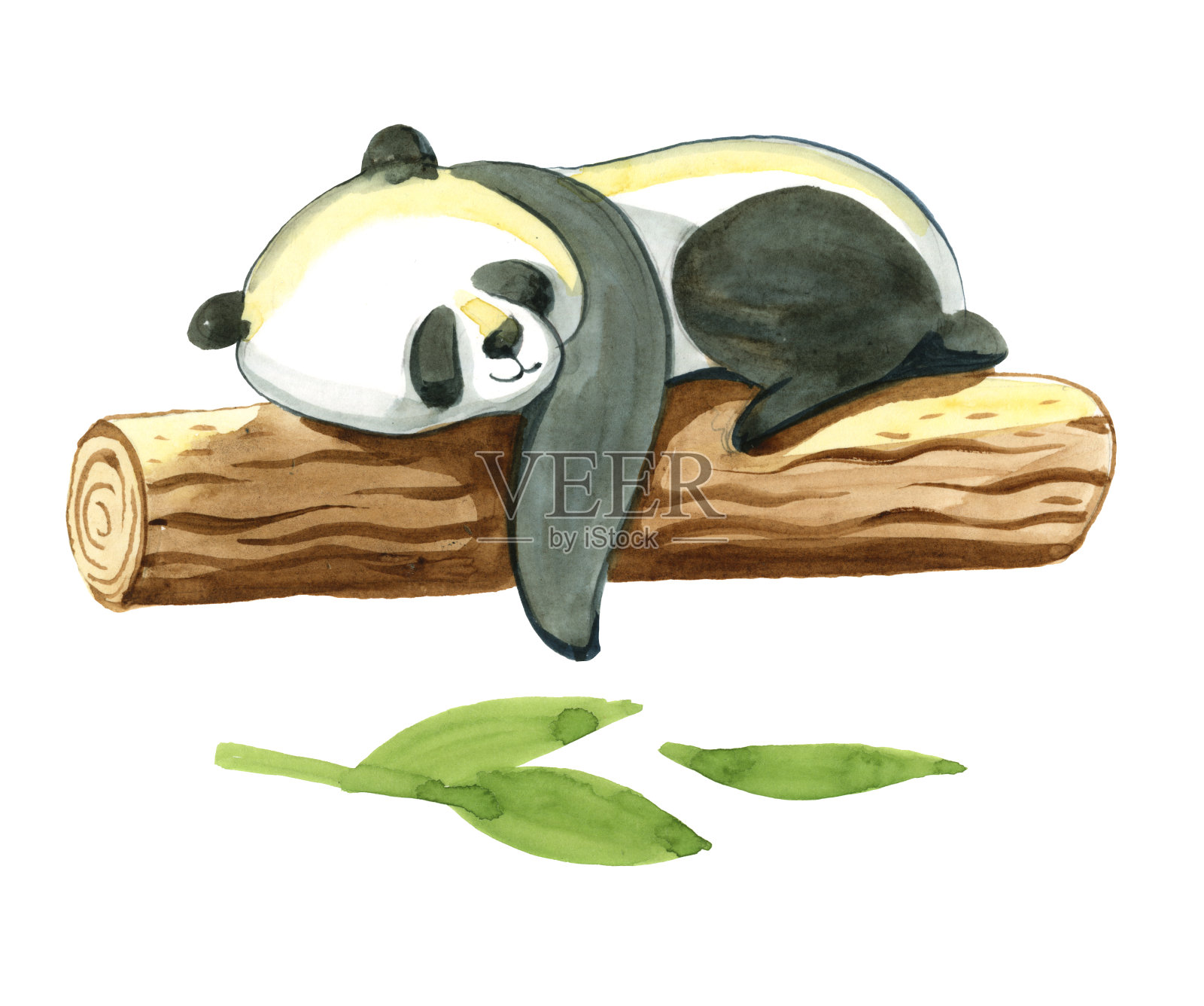 水彩插图孤立的白色背景。黑白相间的熊猫躺在原木上插画图片素材