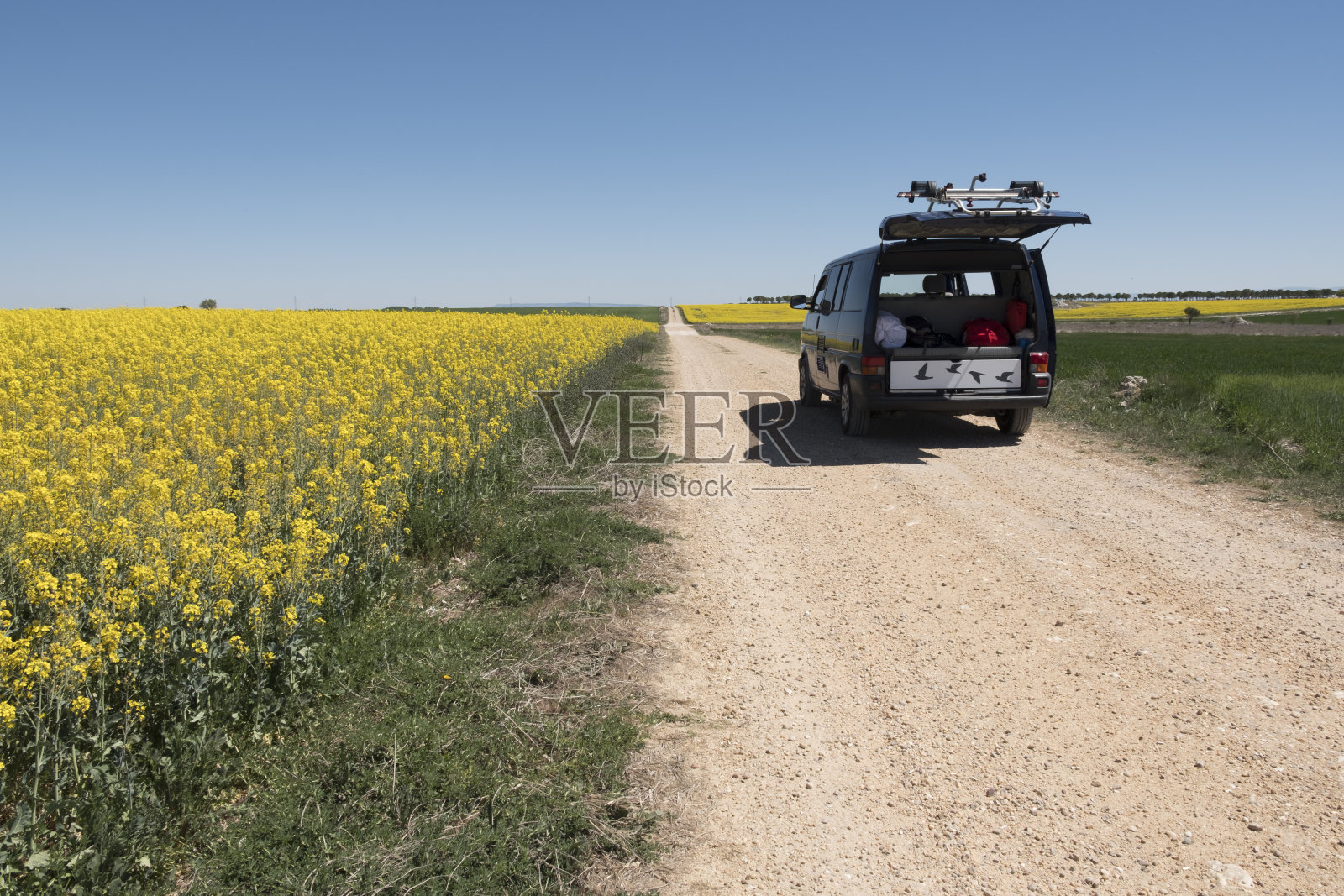 女孩在春天的阳光下乘面包车穿过一片种植黄花(油菜)的田野。卡斯蒂利亚León，西班牙。女孩乘面包车旅行穿过一片黄花(油菜花)，春天在阳光下。卡斯提尔-莱昂，西班牙。照片摄影图片