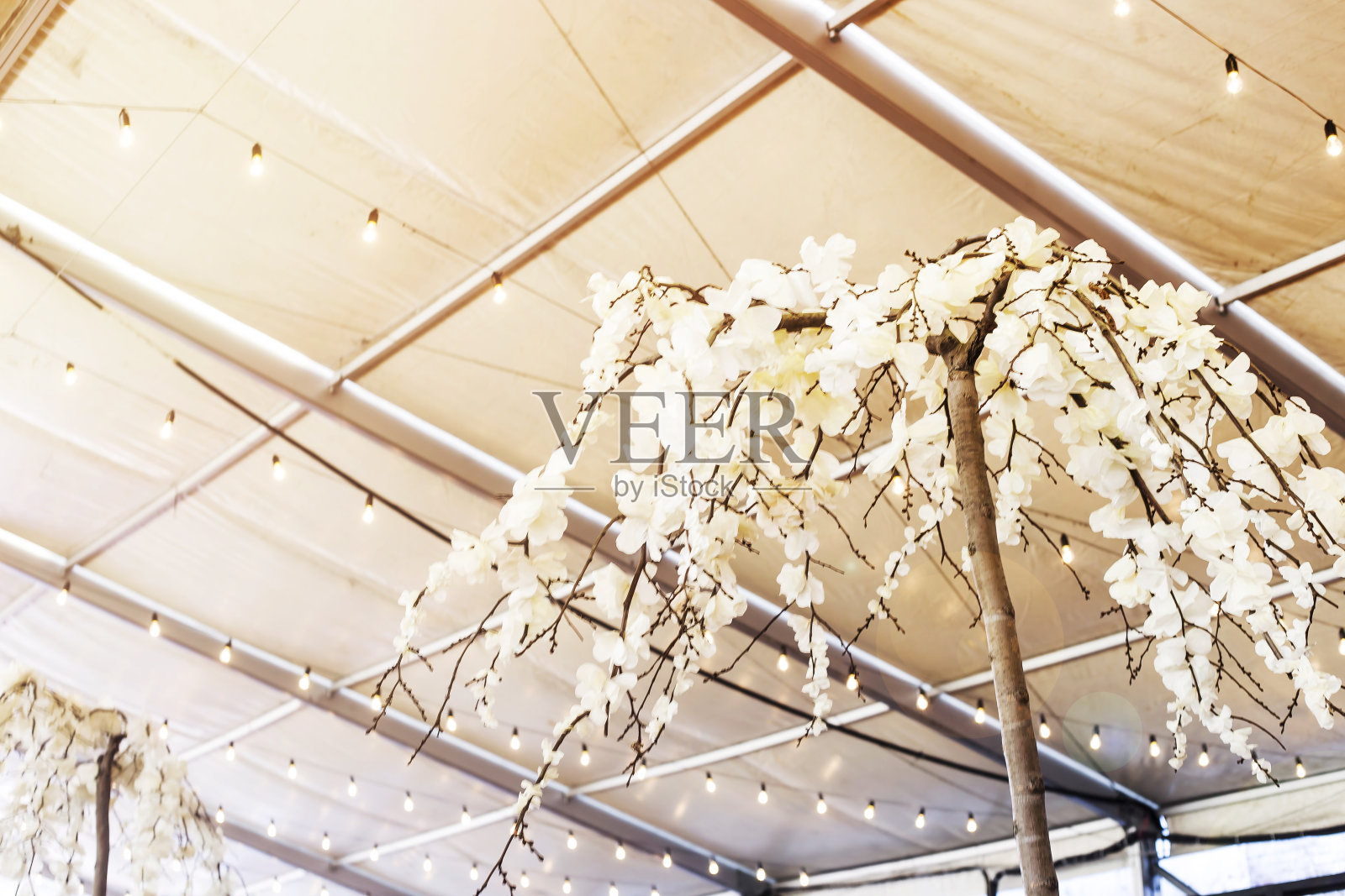 一个街头节日的装饰-白色的花的树反对的背景下的碎片花环的天花板照片摄影图片