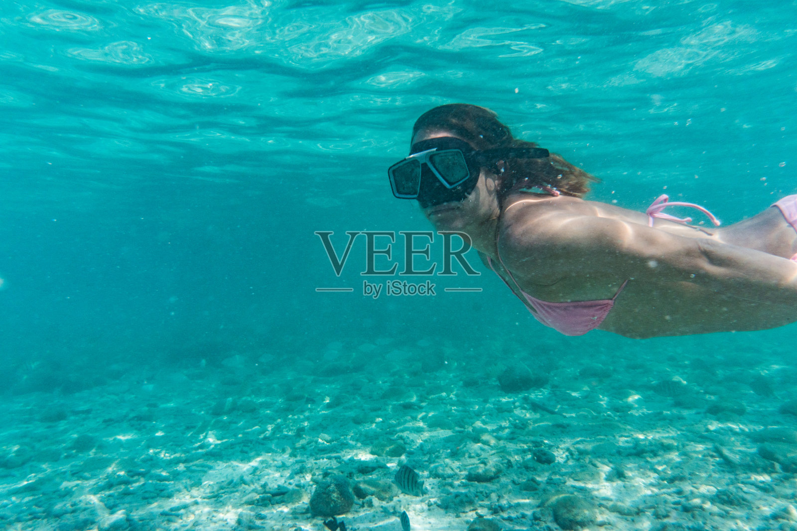 在水下浮潜时探索深海的女人。照片摄影图片