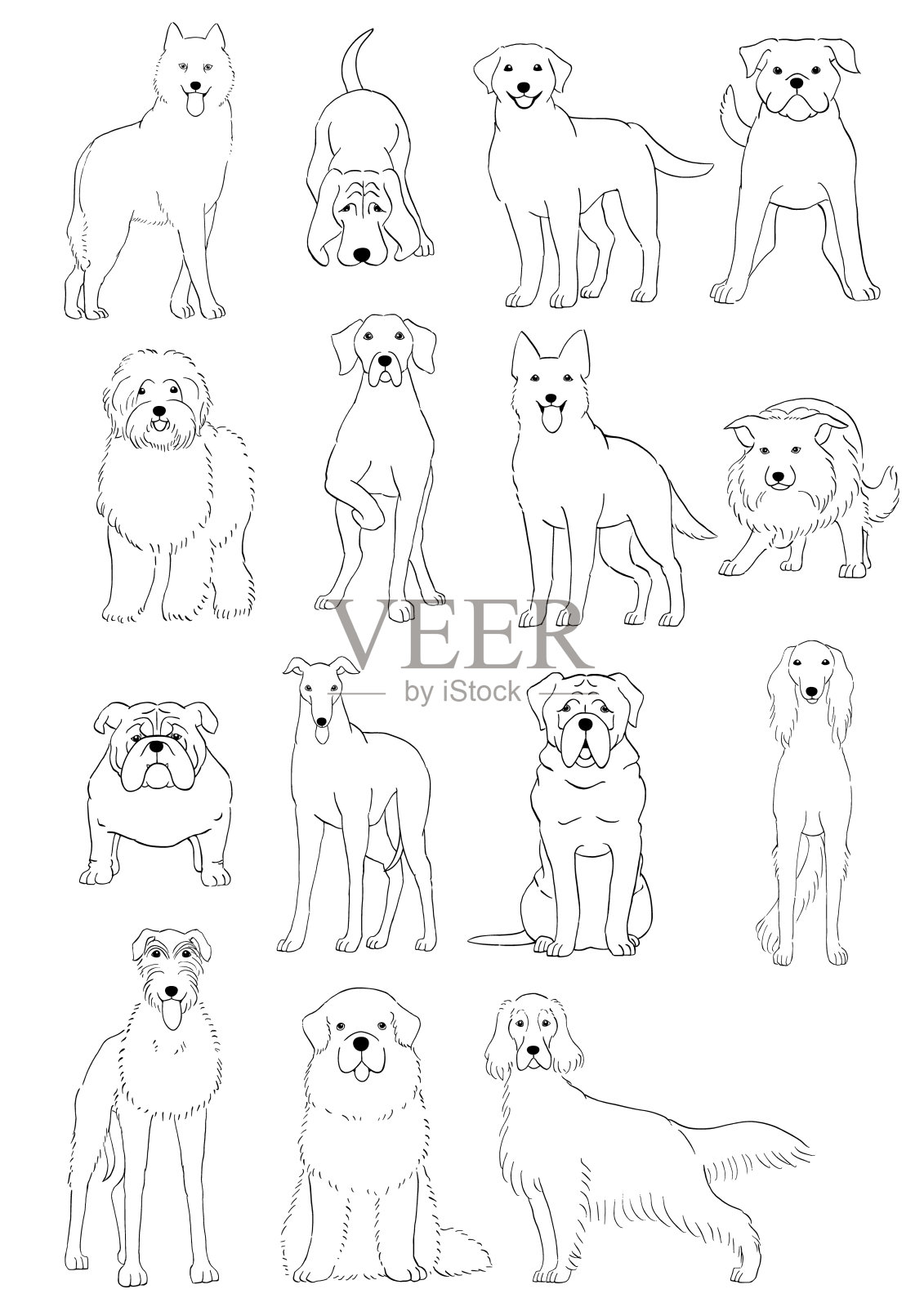 大犬群和中犬种手绘插画图片素材