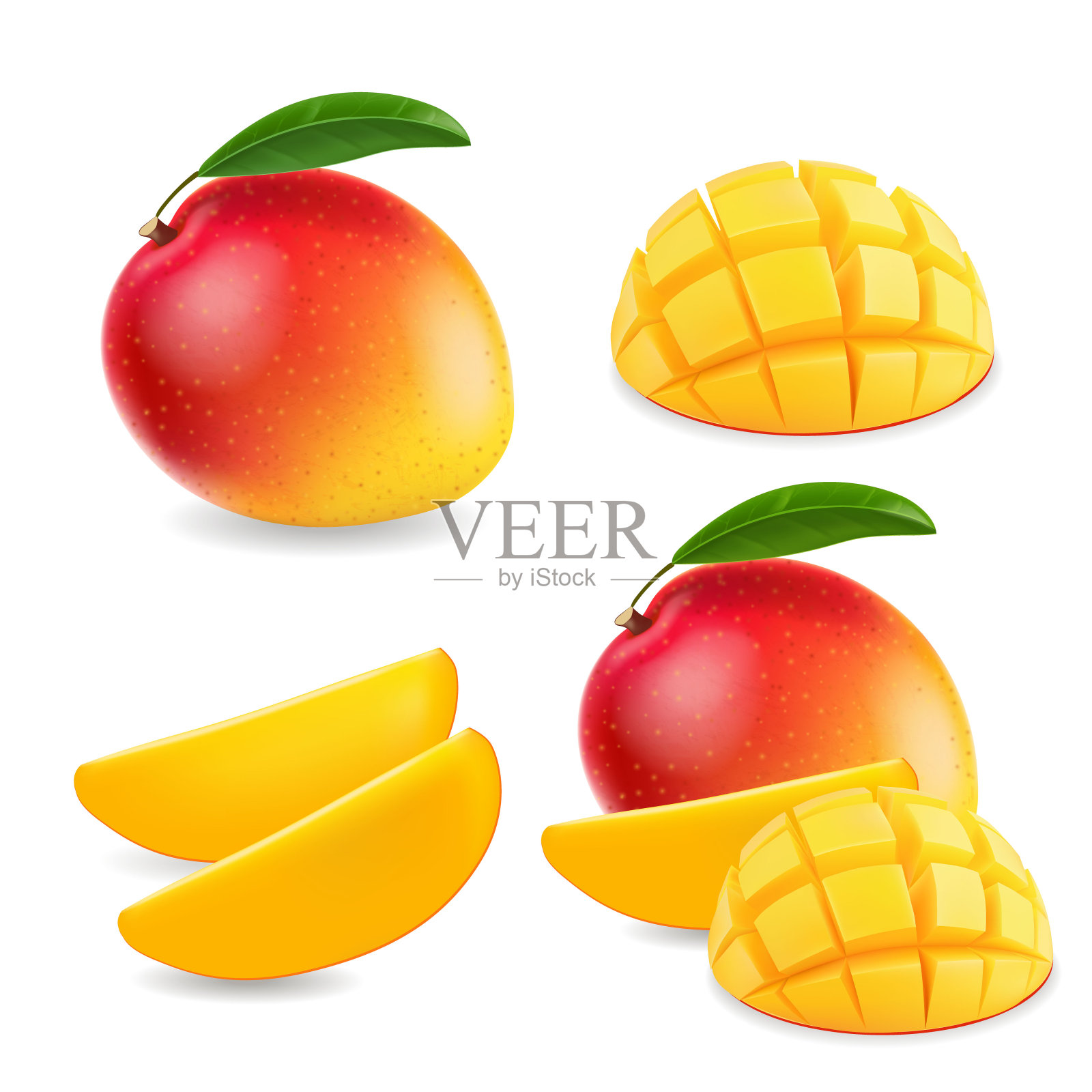 芒果逼真的水果整片插画设计元素图片