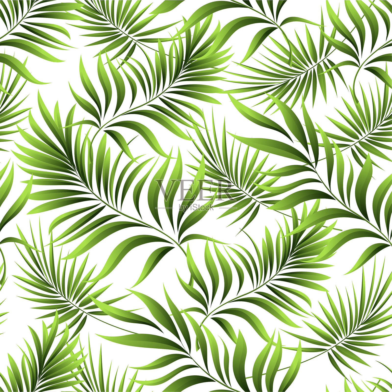 热带棕榈叶，丛林。矢量花图案背景。插画图片素材