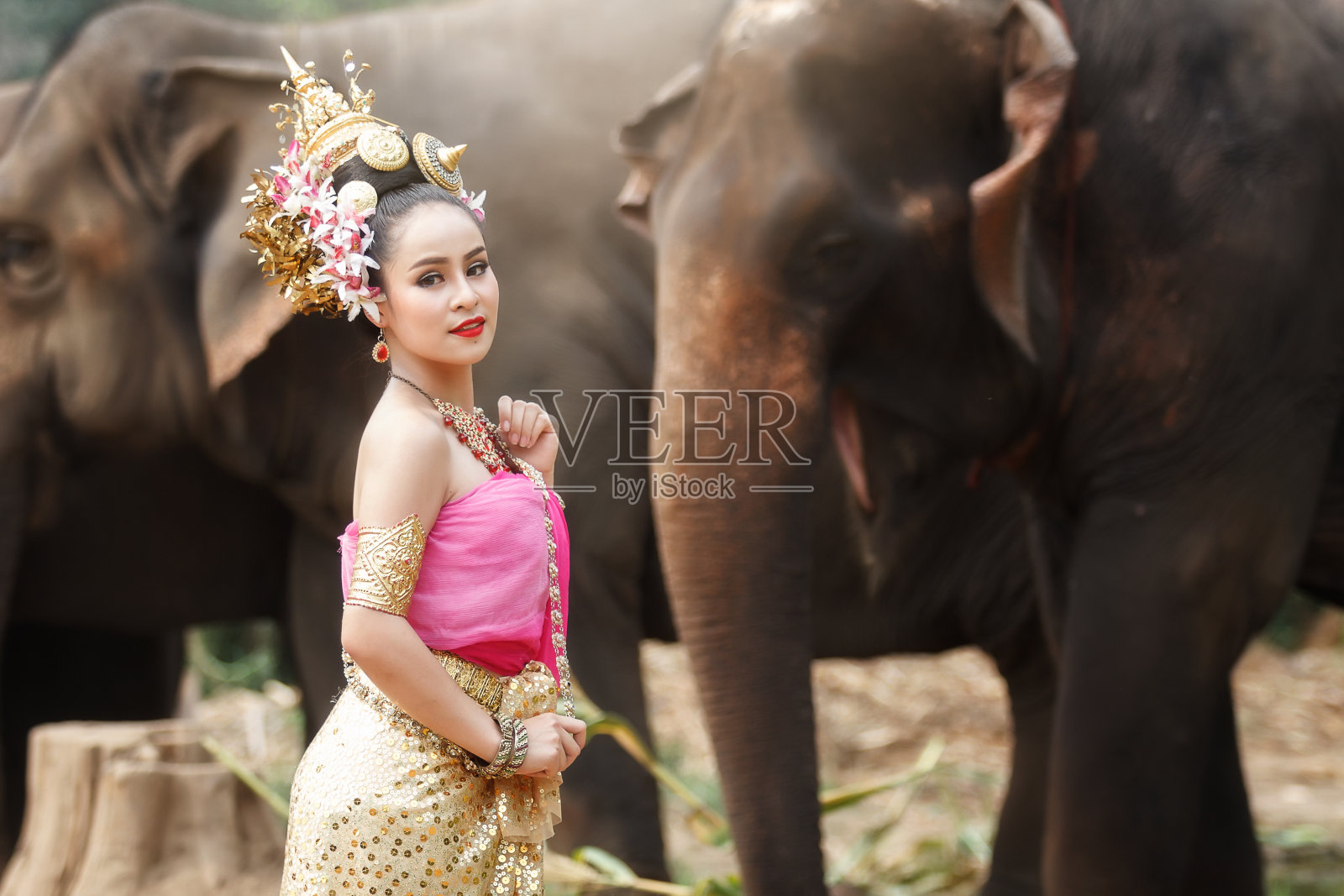 漂亮的泰国女孩穿着泰国传统服装和大象照片摄影图片
