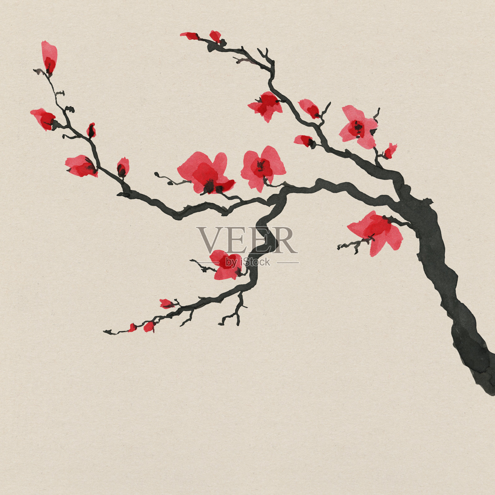 日式樱花。水彩手绘插画插画图片素材