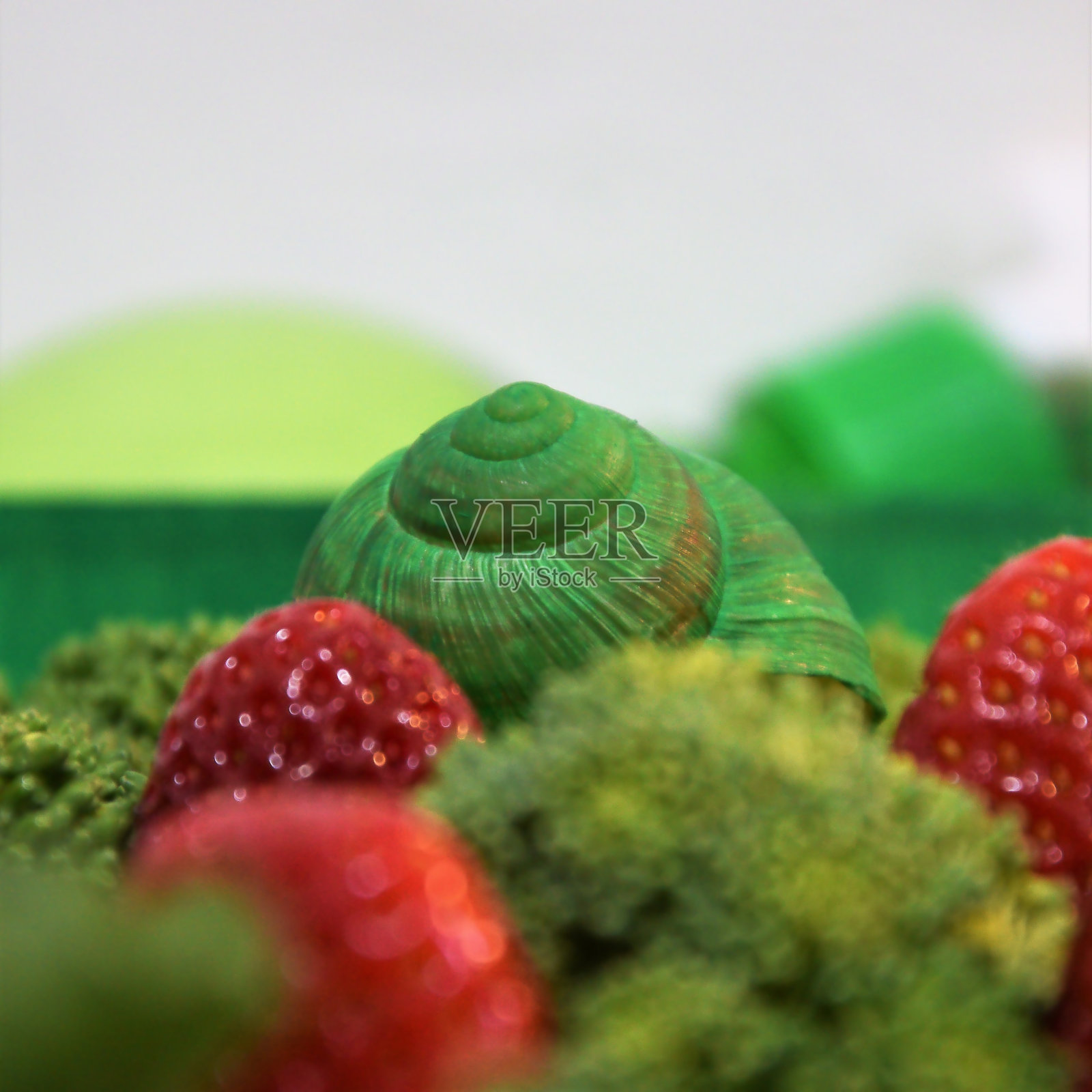 蜗牛绿，蔬菜和水果照片摄影图片