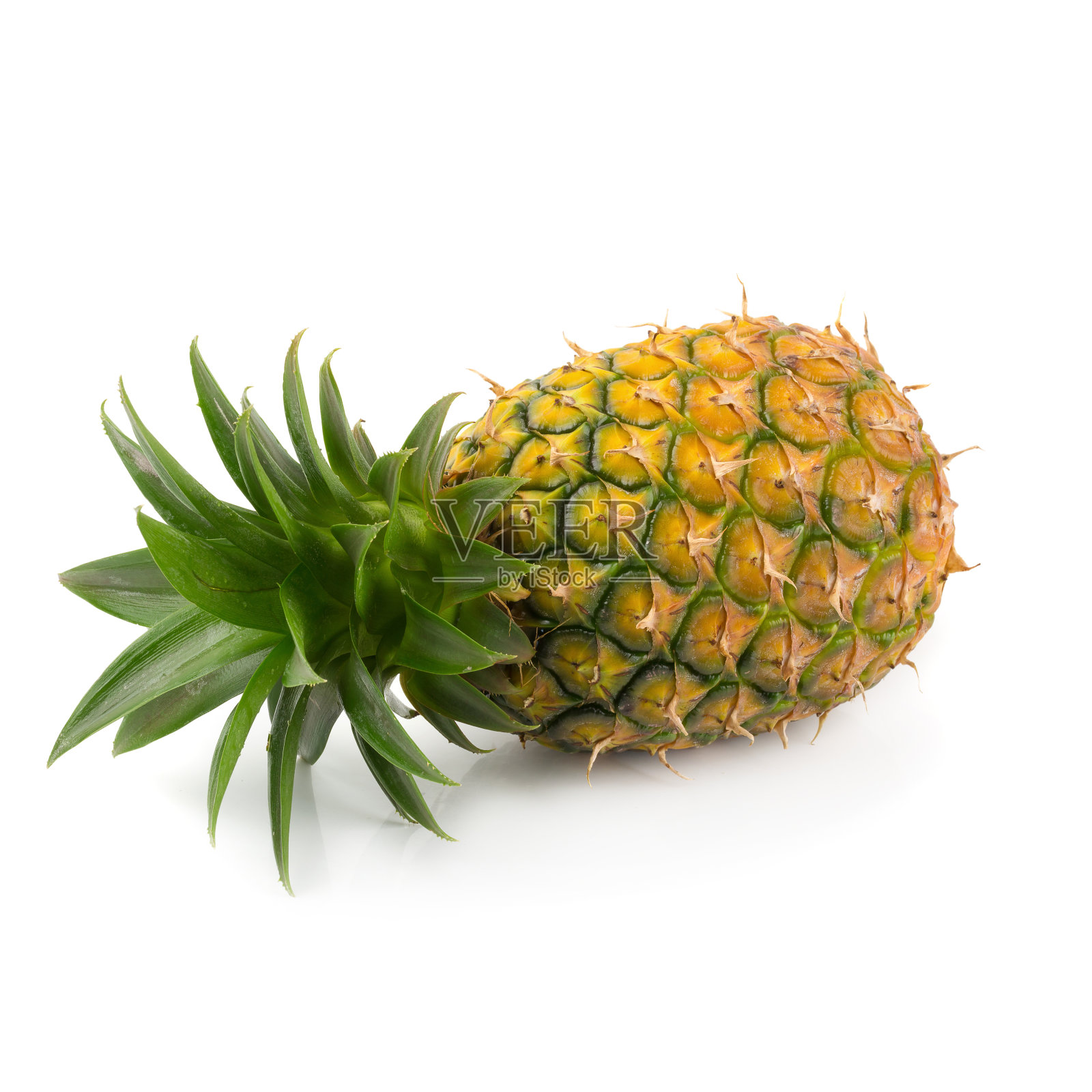 成熟的菠萝是孤立在白色背景上的热带水果照片摄影图片