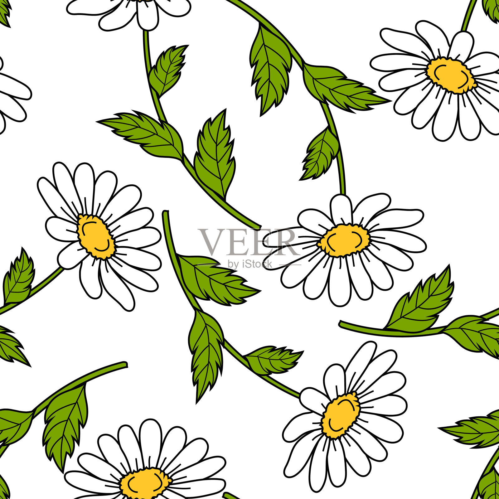 无缝模式与雏菊在白色的背景。插画图片素材