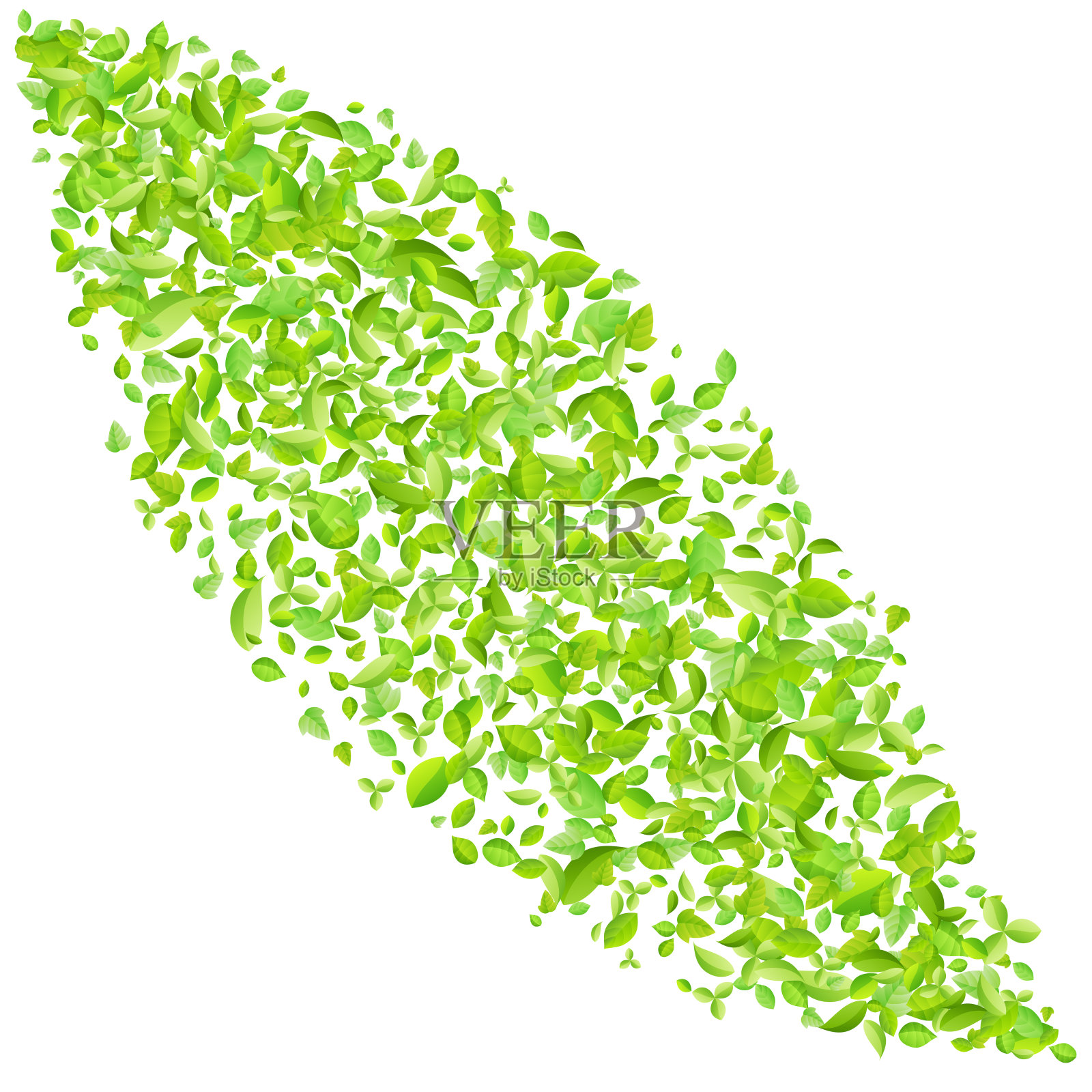 矢量清新的春天的绿叶背景贺卡在扁平风格设计元素图片