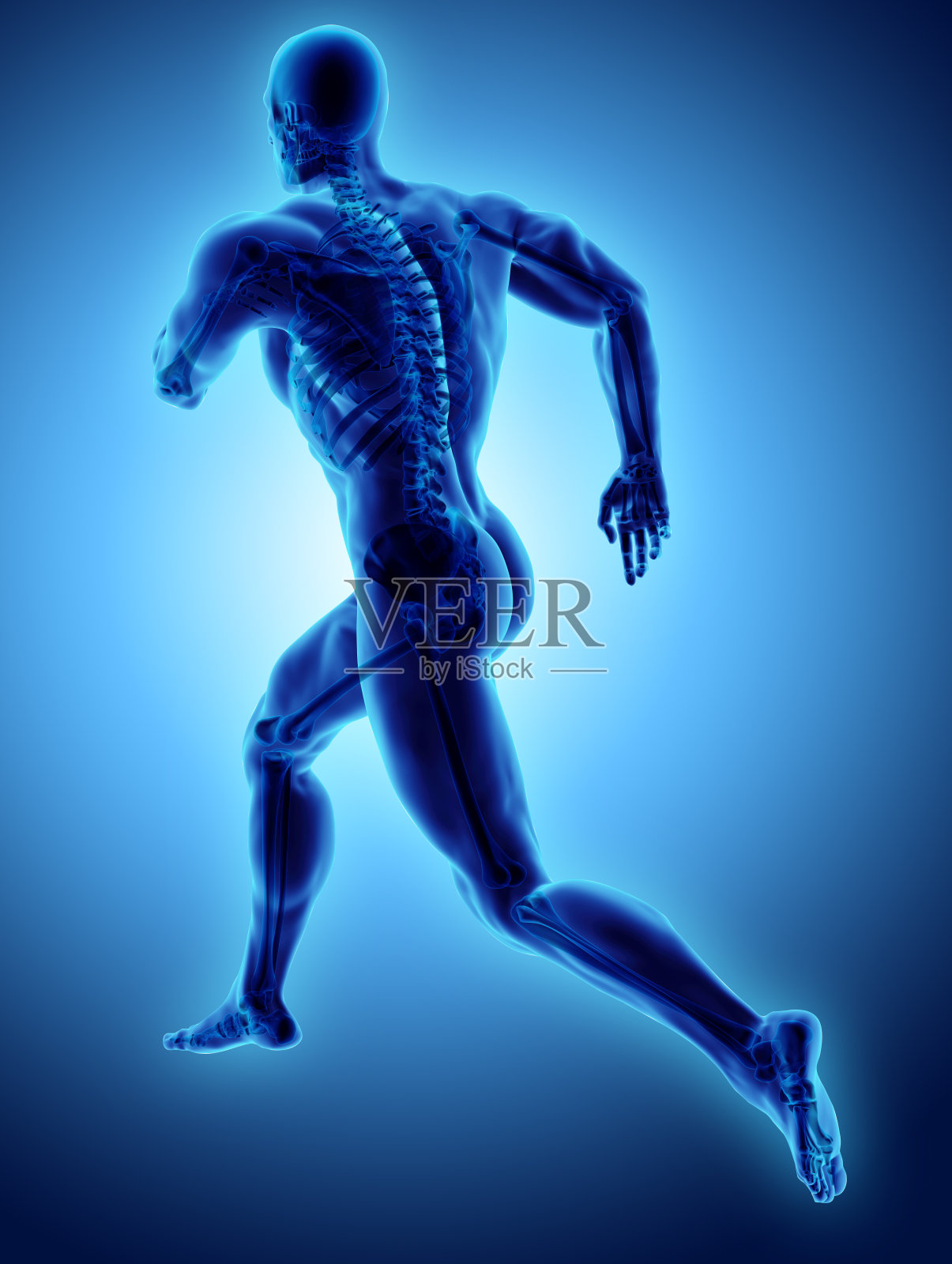 3d插图男性跑步姿势与x射线骨骼关节，医学概念。照片摄影图片