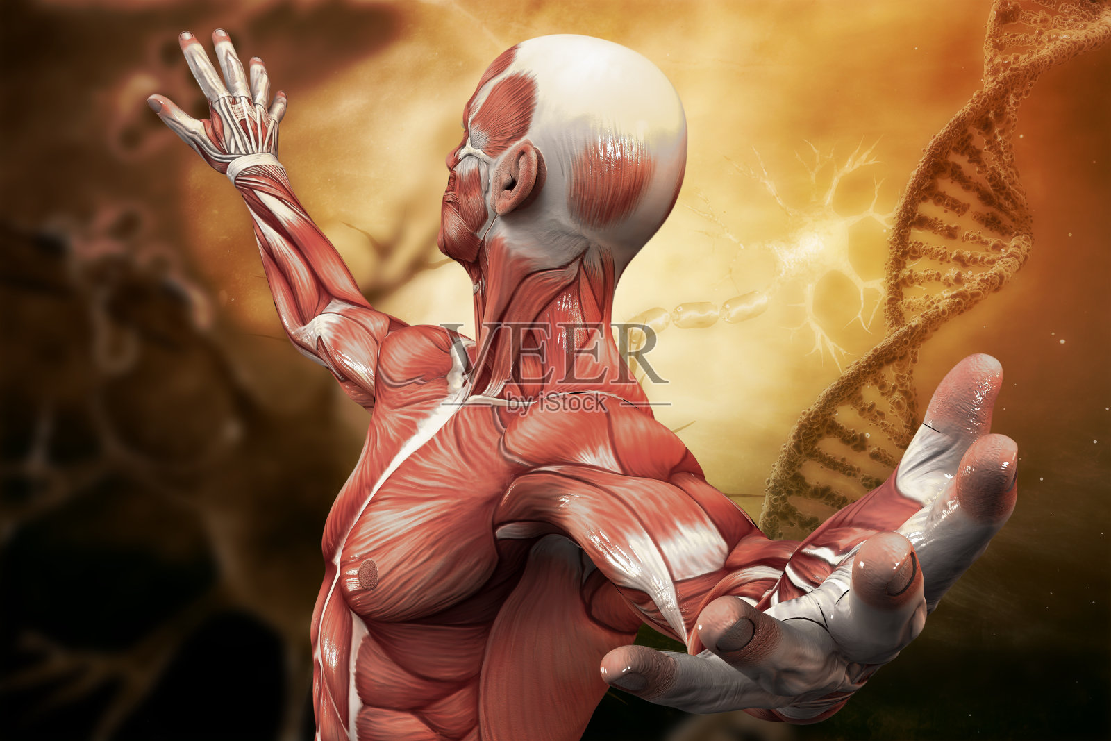 DNA，神经元分子和人类的艺术背景。三维演示插画图片素材