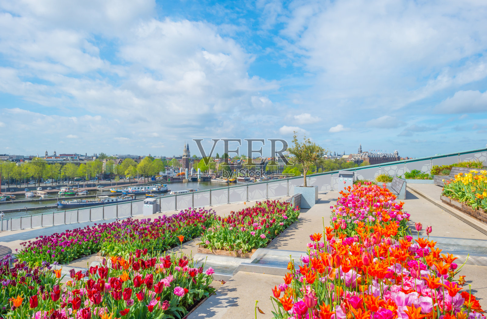 从一个郁金香屋顶花园俯瞰阿姆斯特丹市中心照片摄影图片