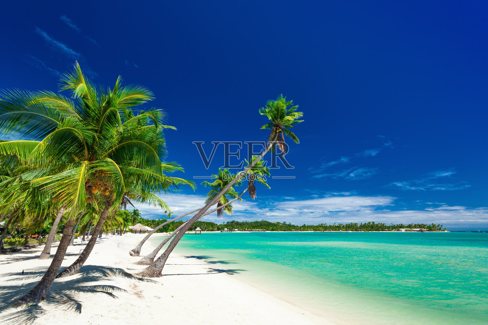 棕榈树在白色的海滩上，一个种植园岛，斐济照片摄影图片