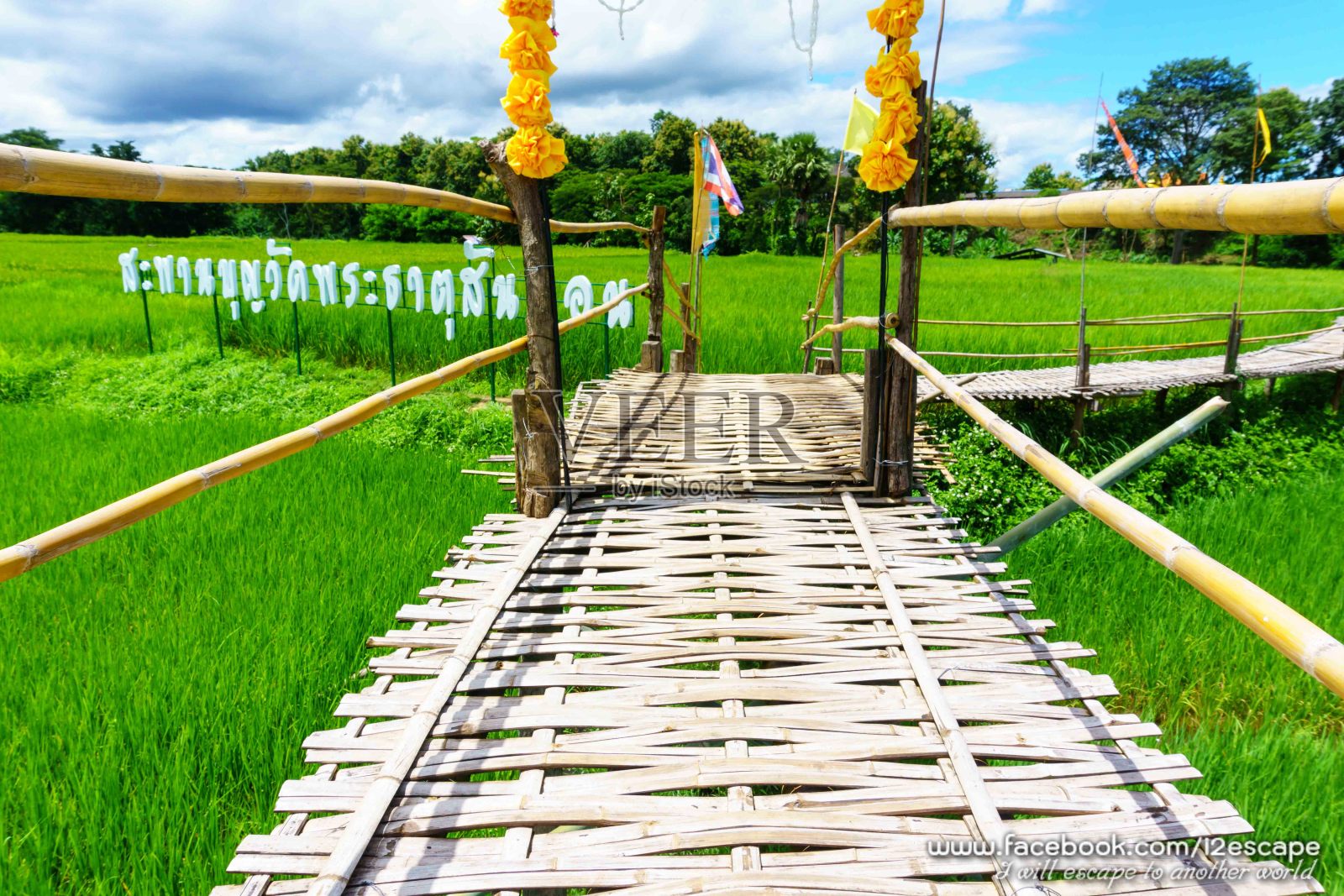 美丽的乡村竹桥横跨稻田，蓝天白云在阳光明媚的乡村。南邦，泰国北部。桥名“Sapan Boon Wat Pa That San Don”照片摄影图片