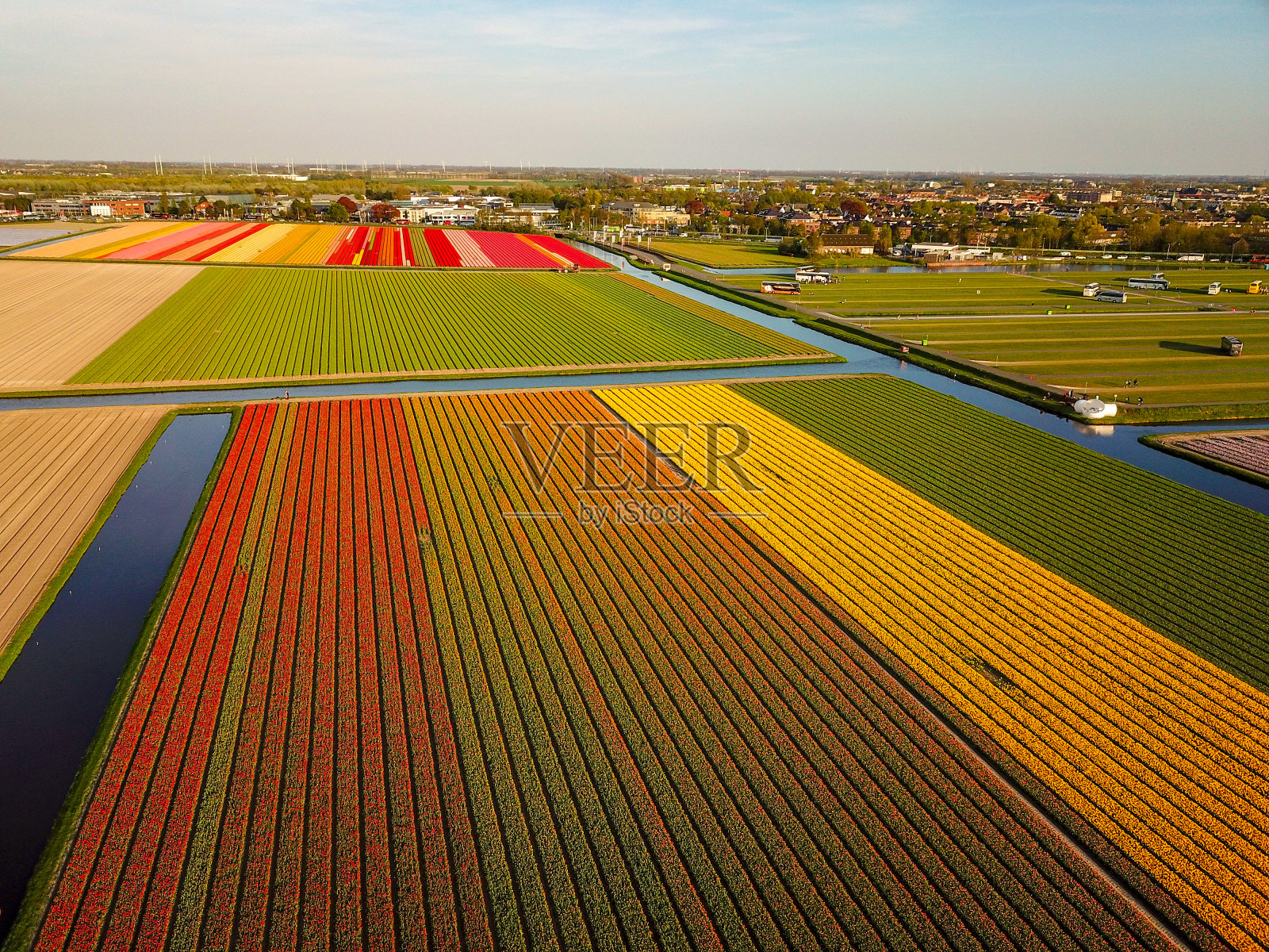 鸟瞰图多彩的鲜花田野在春天里Lisse荷兰照片摄影图片