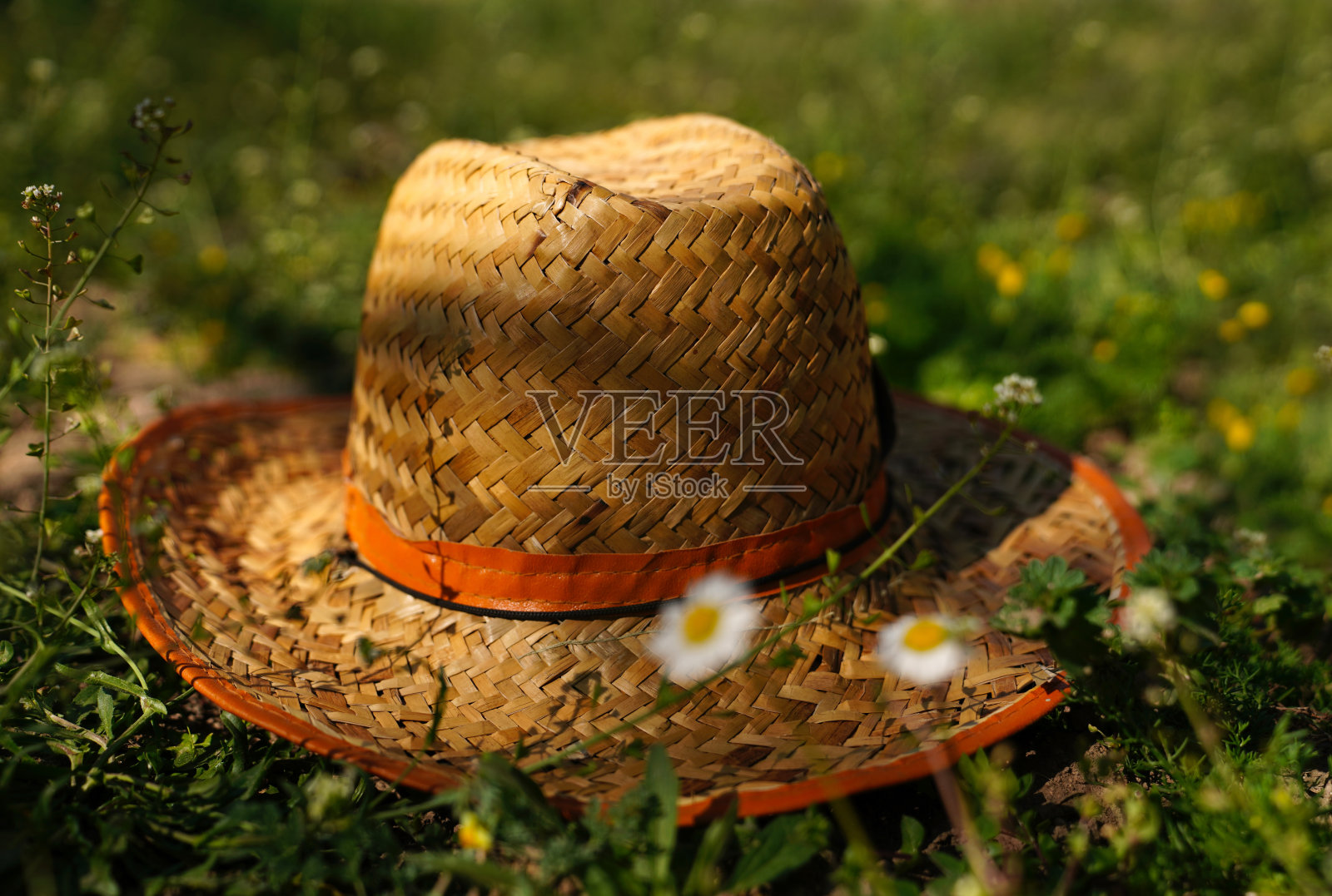 草帽在绿草上，雏菊模糊了照片摄影图片