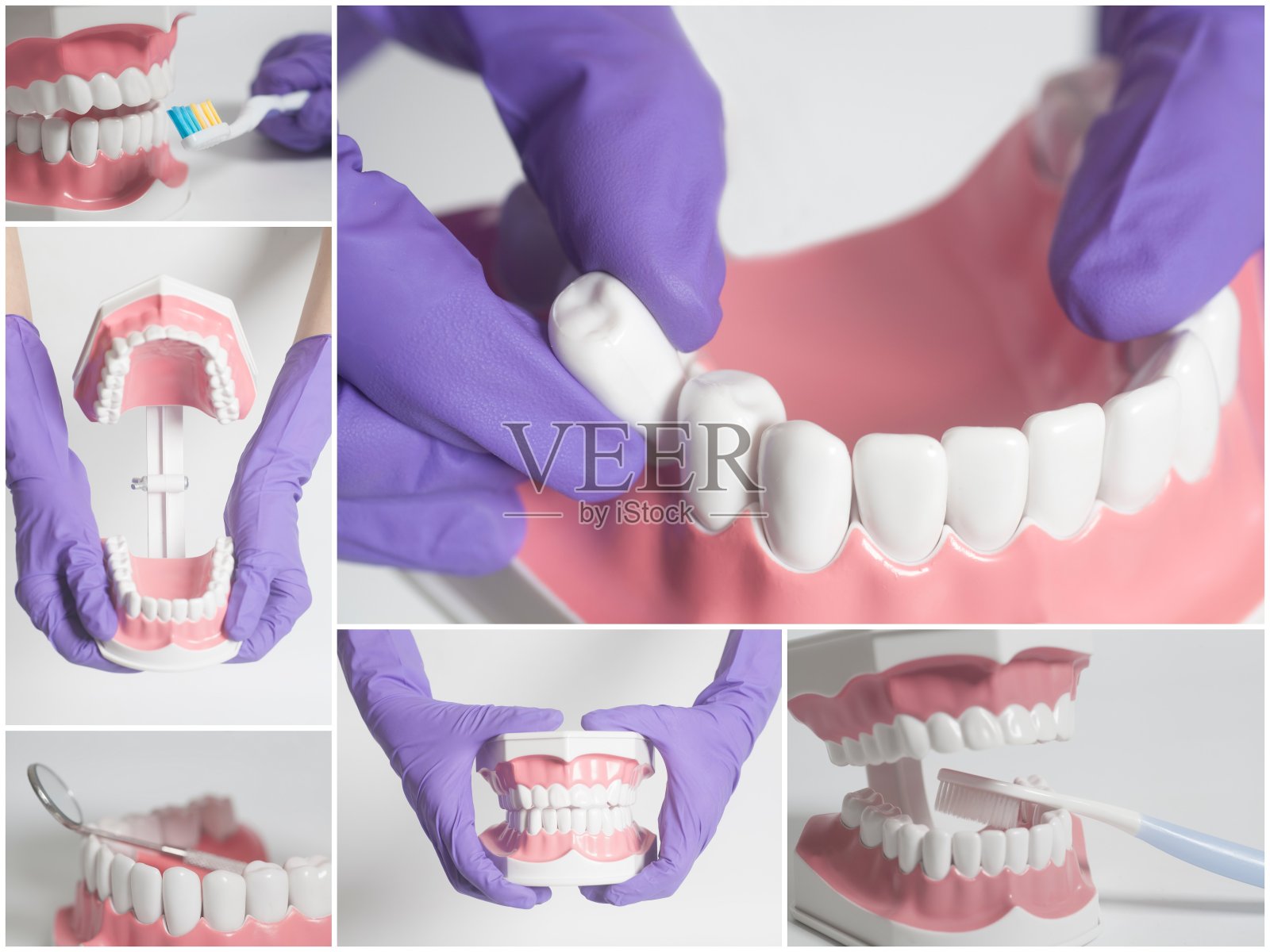 人类的牙齿模型。牙科保健的概念。拼贴画照片摄影图片