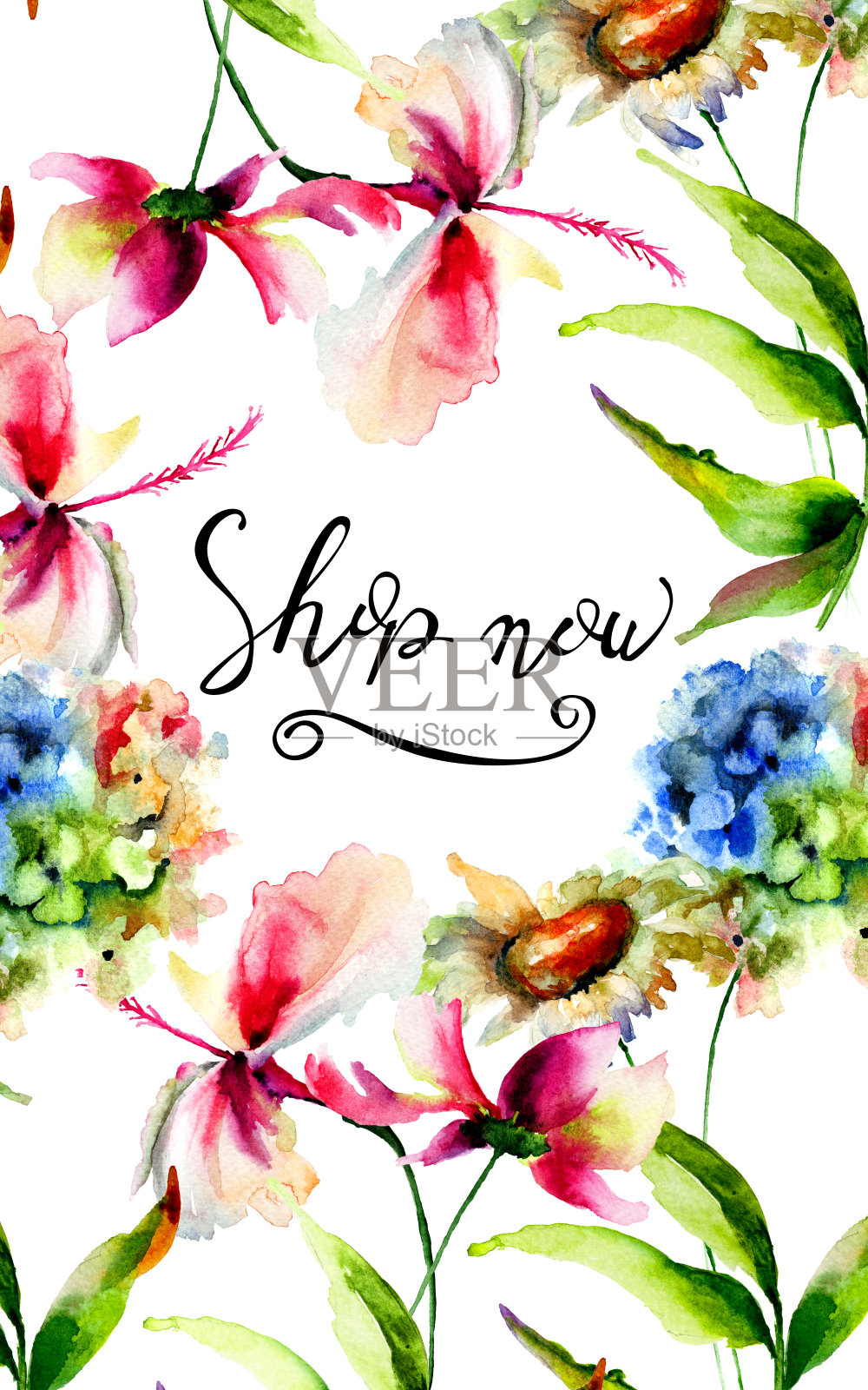 标题商店现在有绣球花，木槿和考斯玛花插画图片素材