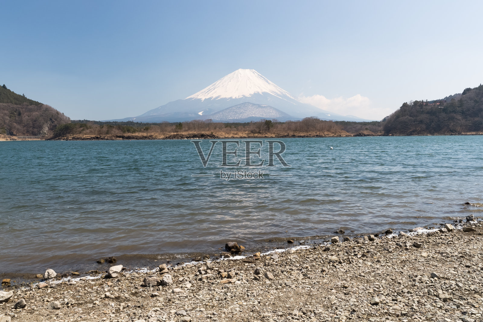 春天的富士山和障子湖照片摄影图片