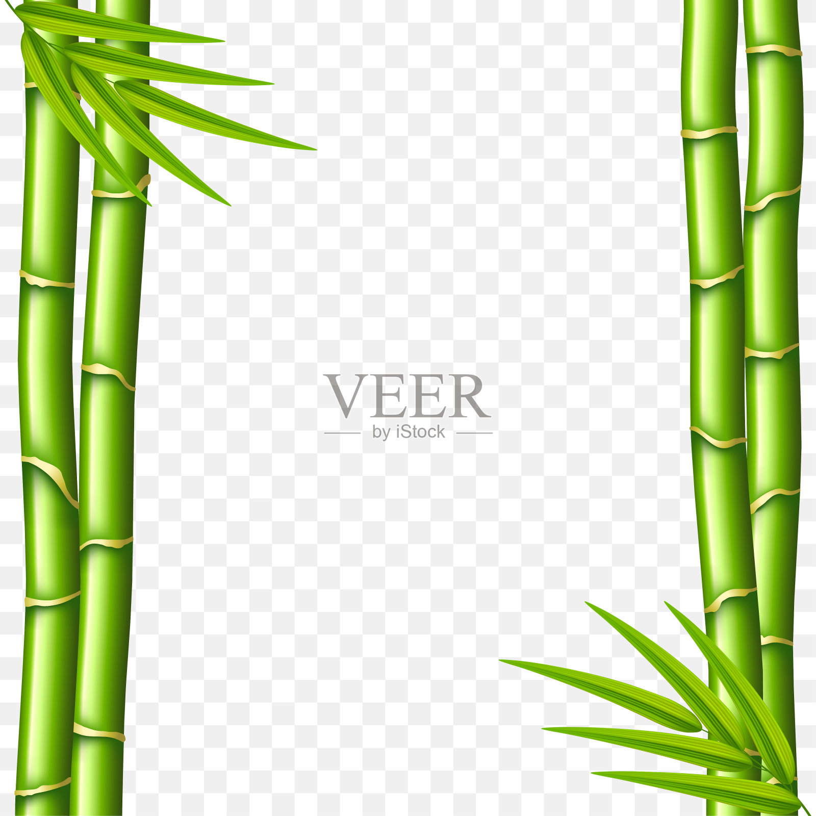 竹茎孤立在白色载体插图设计元素图片
