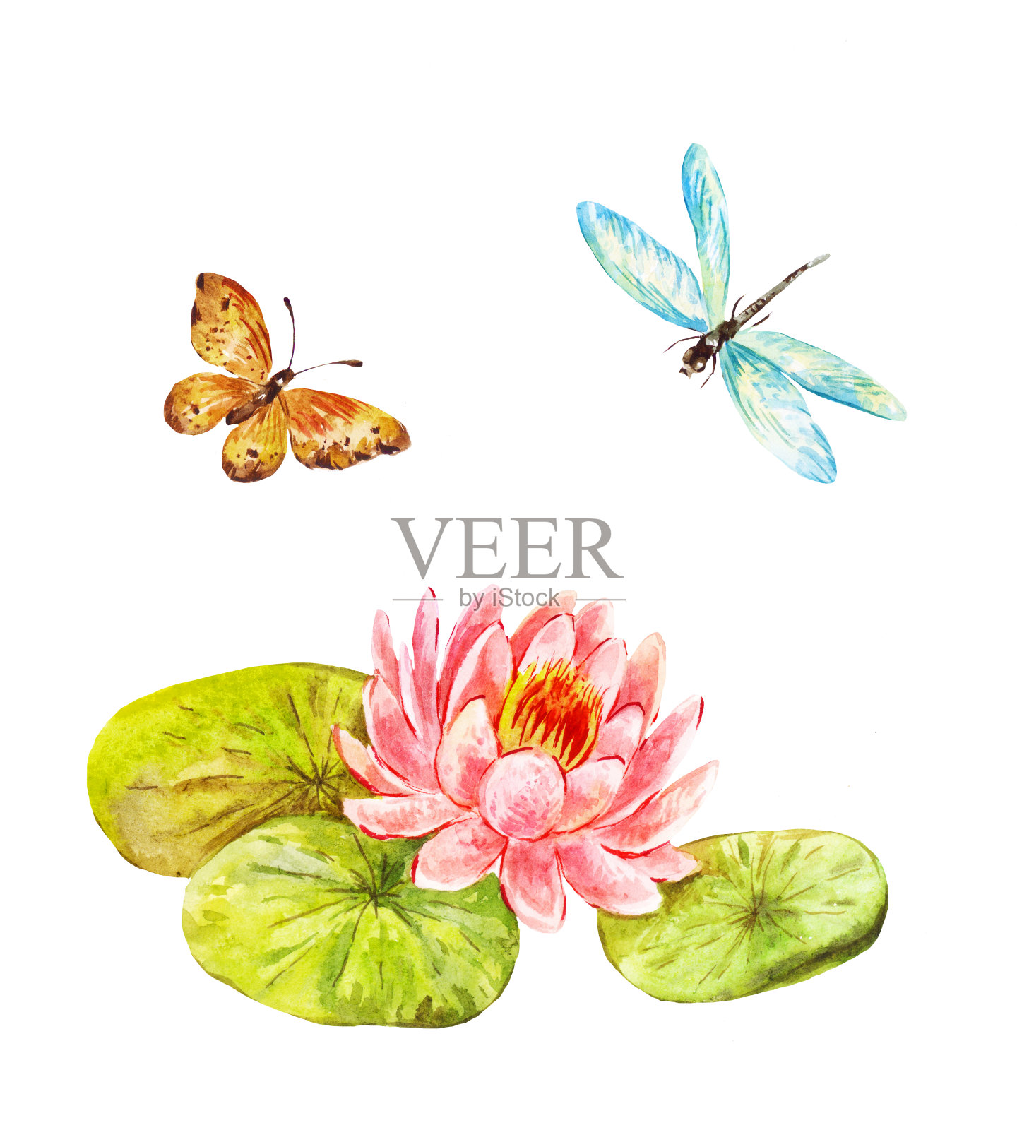 风水水彩符号:莲花、蝴蝶、蜻蜓插画图片素材