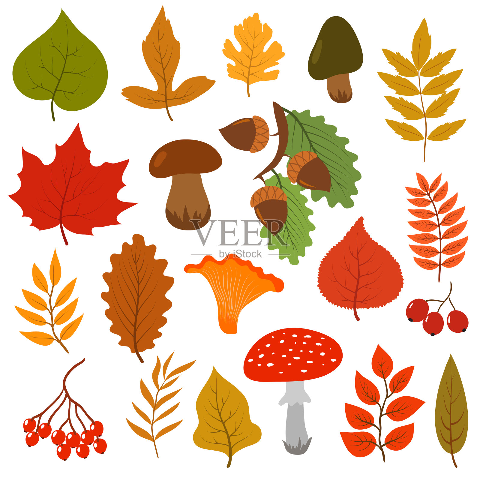 黄色的秋叶，蘑菇和浆果。秋天森林元素向量卡通集合孤立的白色背景插画图片素材