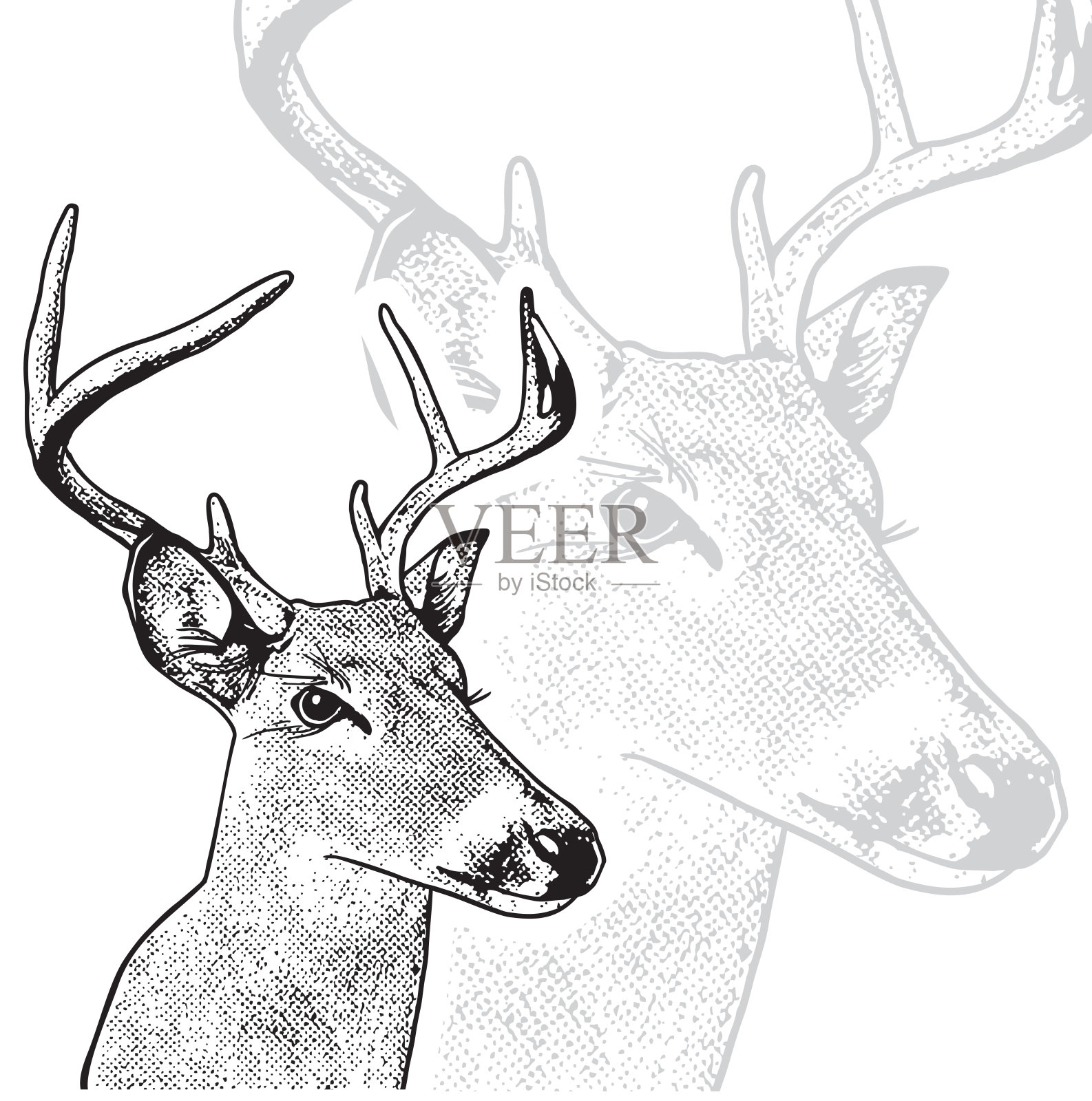 鹿头图形雕刻孤立在白色背景。插画图片素材