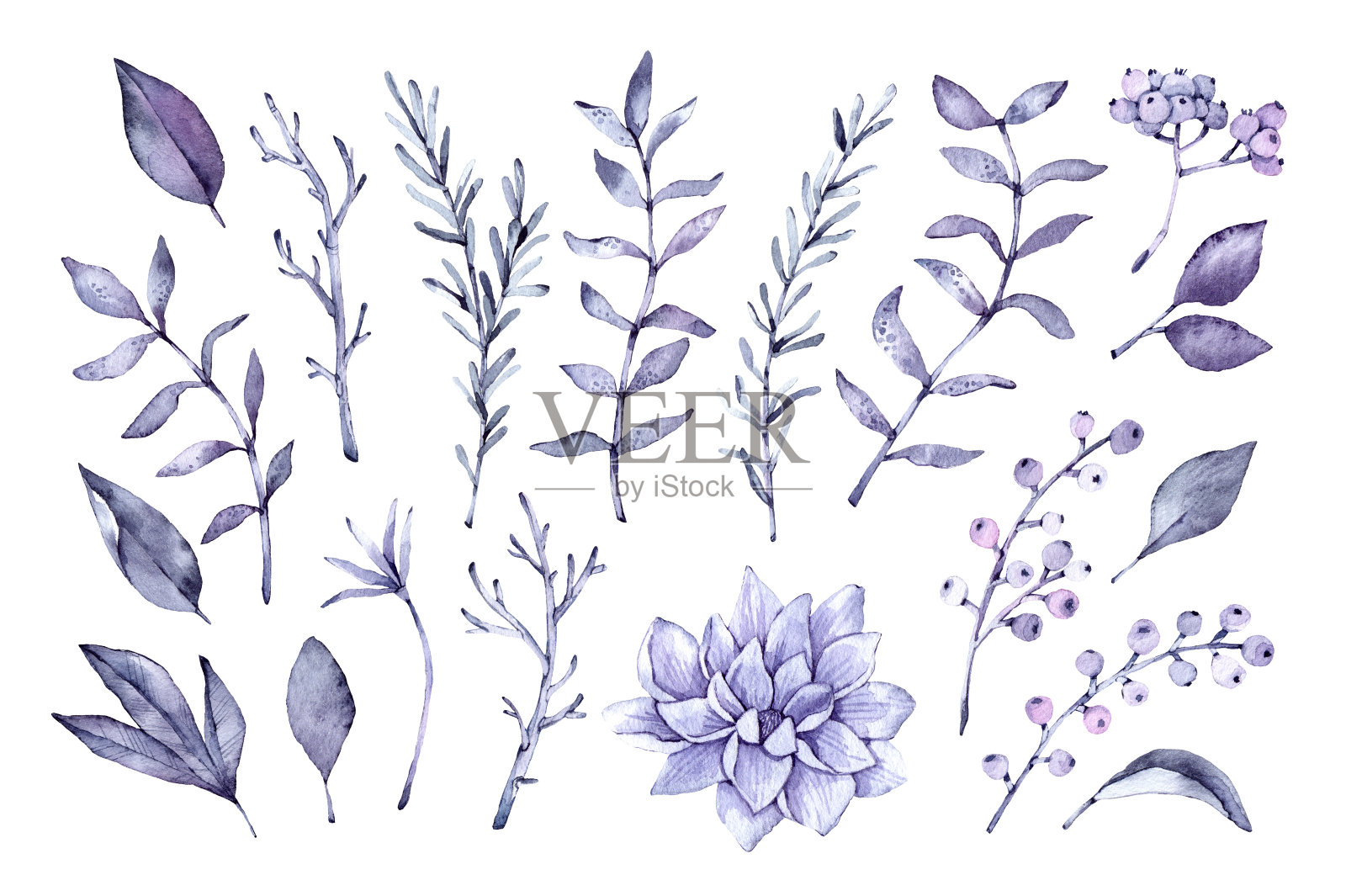 手绘水彩插图。植物剪纸艺术。一组紫罗兰的叶子，香草和树枝。花的设计元素。完美的婚礼邀请，贺卡，博客，海报和更多插画图片素材