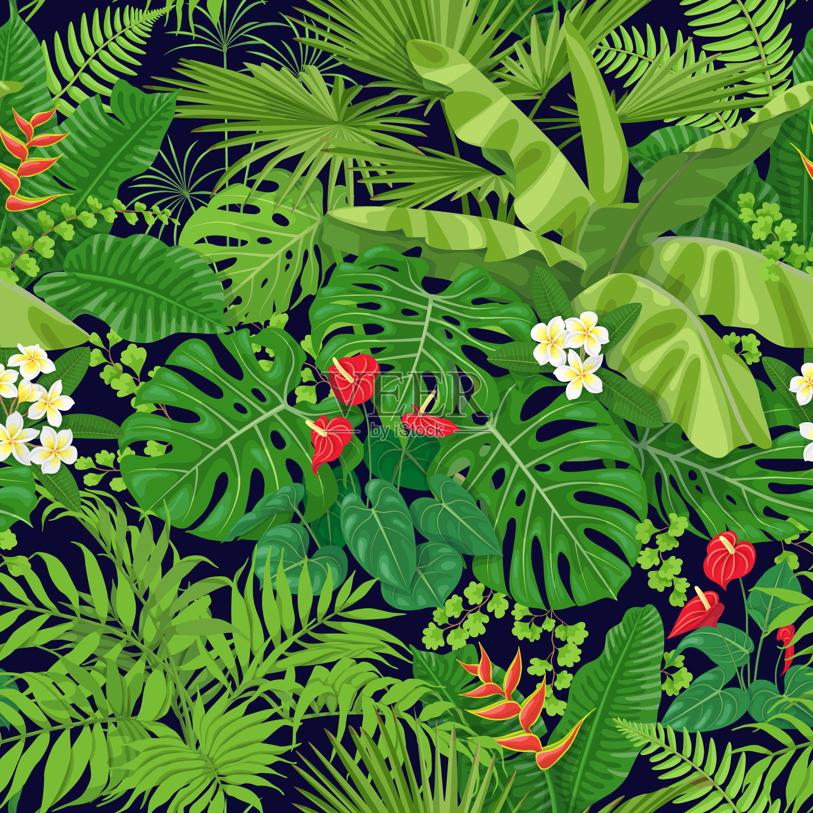 热带花和叶图案插画图片素材