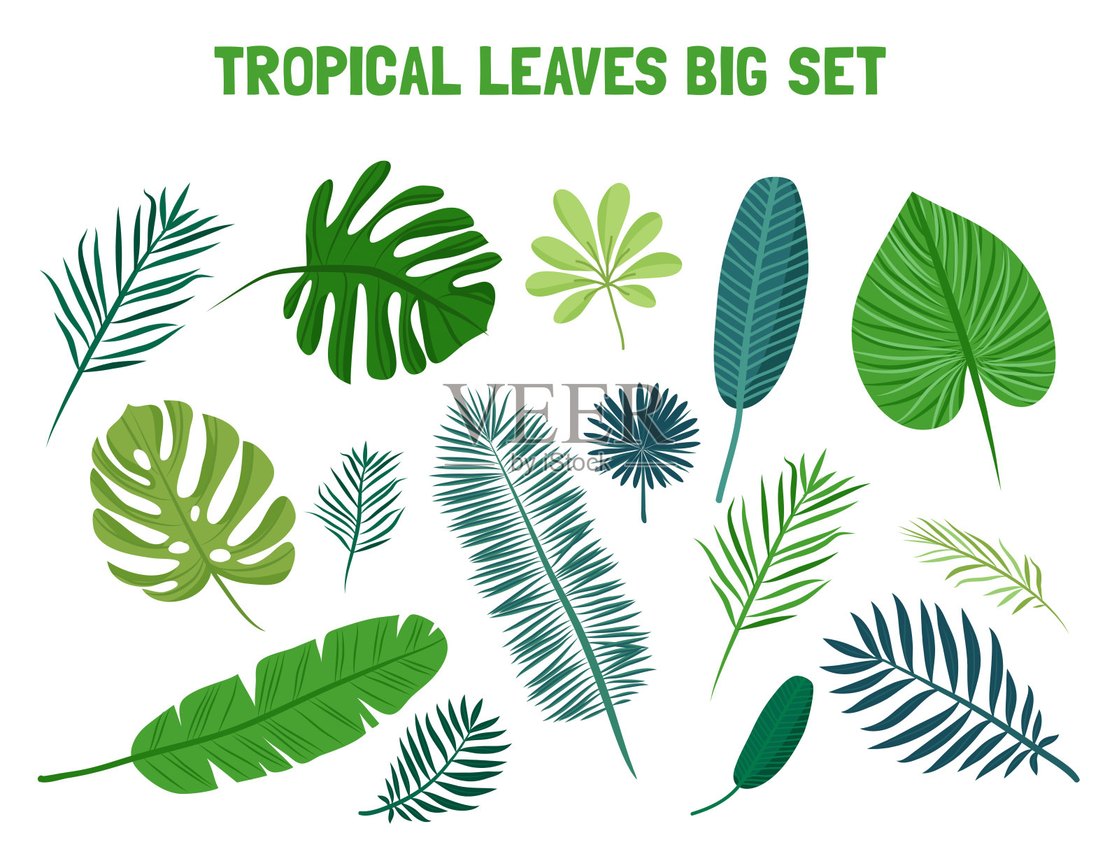 热带棕榈树的叶子插画图片素材