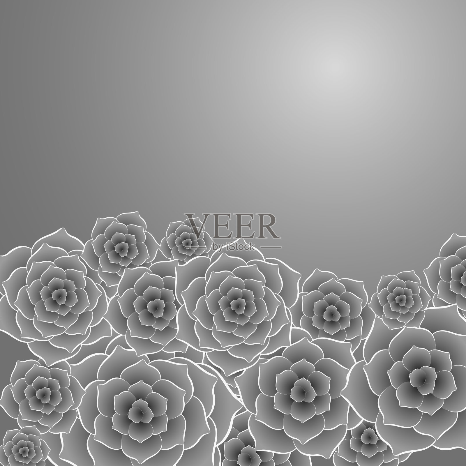 美丽的黑白玫瑰花背景插画图片素材