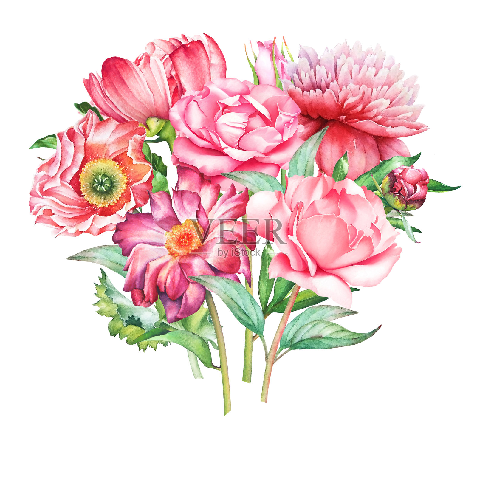 水彩插图的花束与粉红色的花插画图片素材
