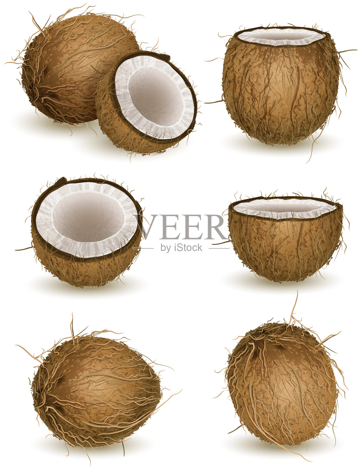 椰子插画图片素材