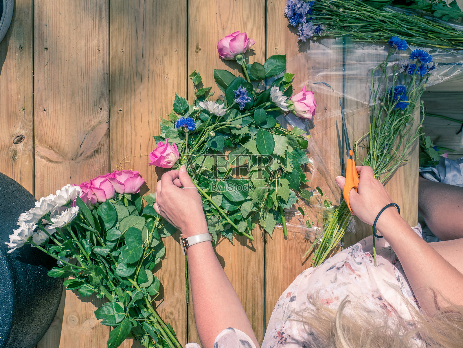 在瑞典，妇女们为仲夏庆典安排鲜花。手用剪刀，木头背景。照片摄影图片