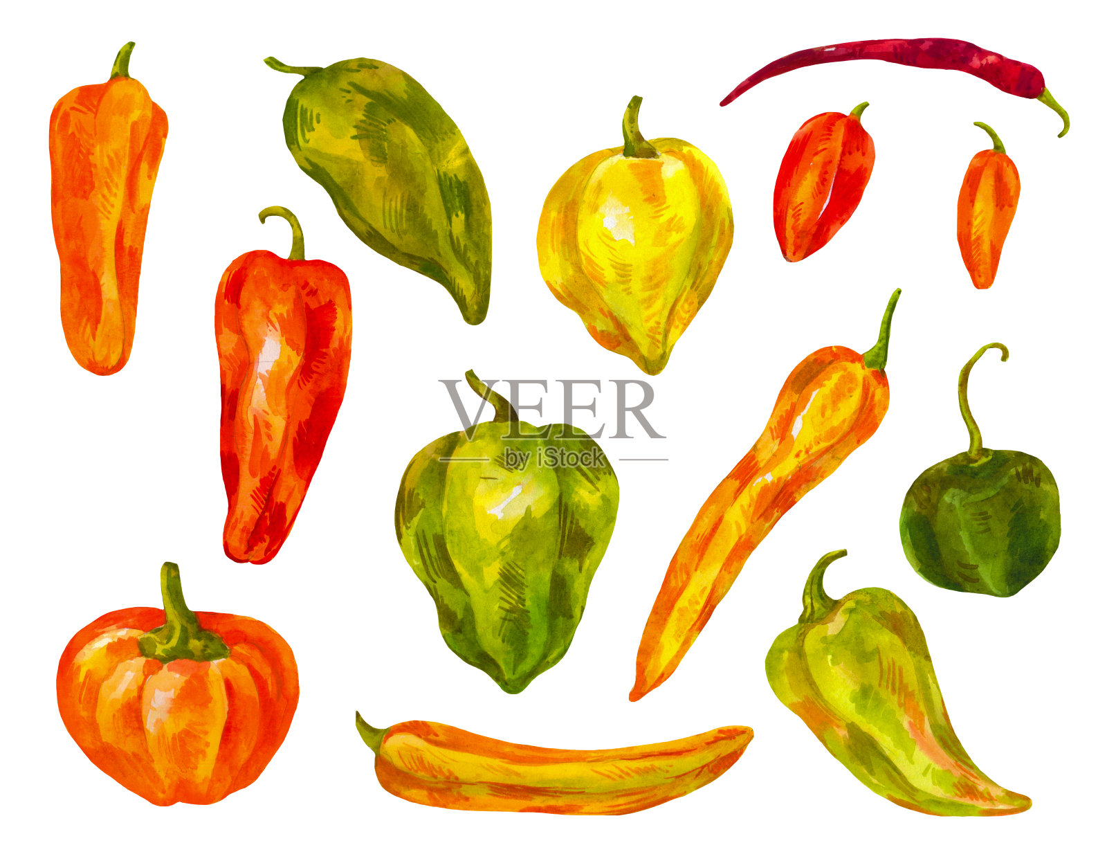 许多不同的辣椒。水彩。保加利亚，辣椒，各种各样的健康蔬菜插画图片素材