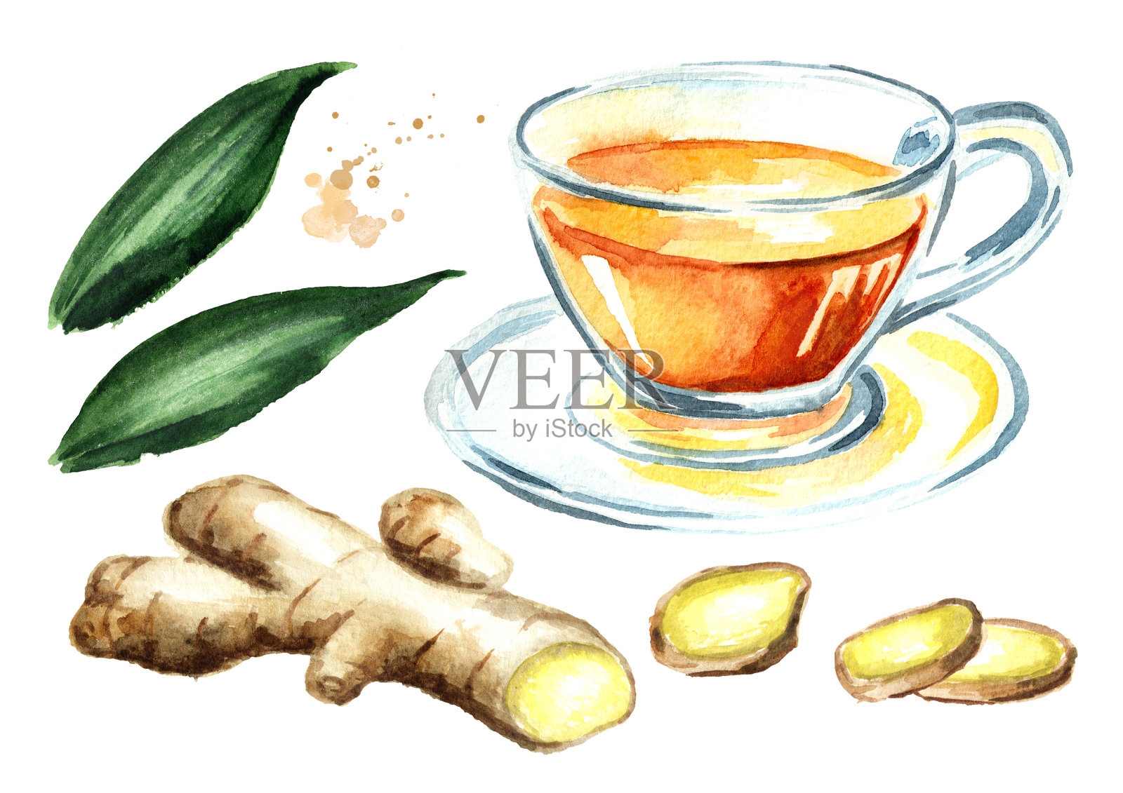 姜茶套，生姜根，健康饮品概念。水彩手绘插图孤立的白色背景插画图片素材